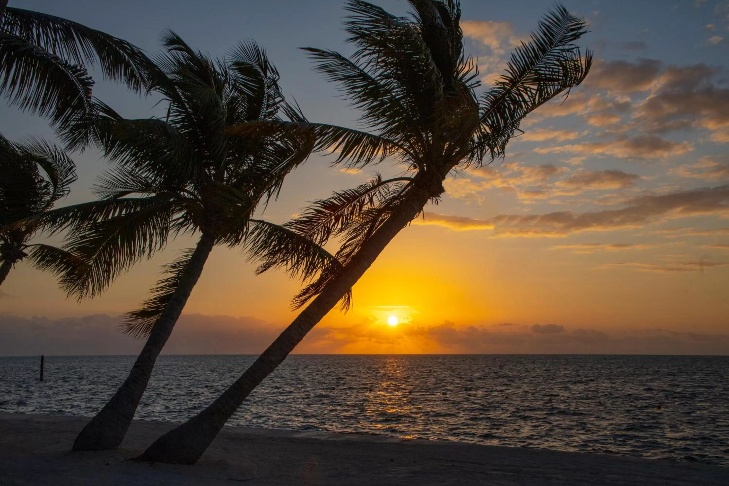 Beach in Amara Cay Resort