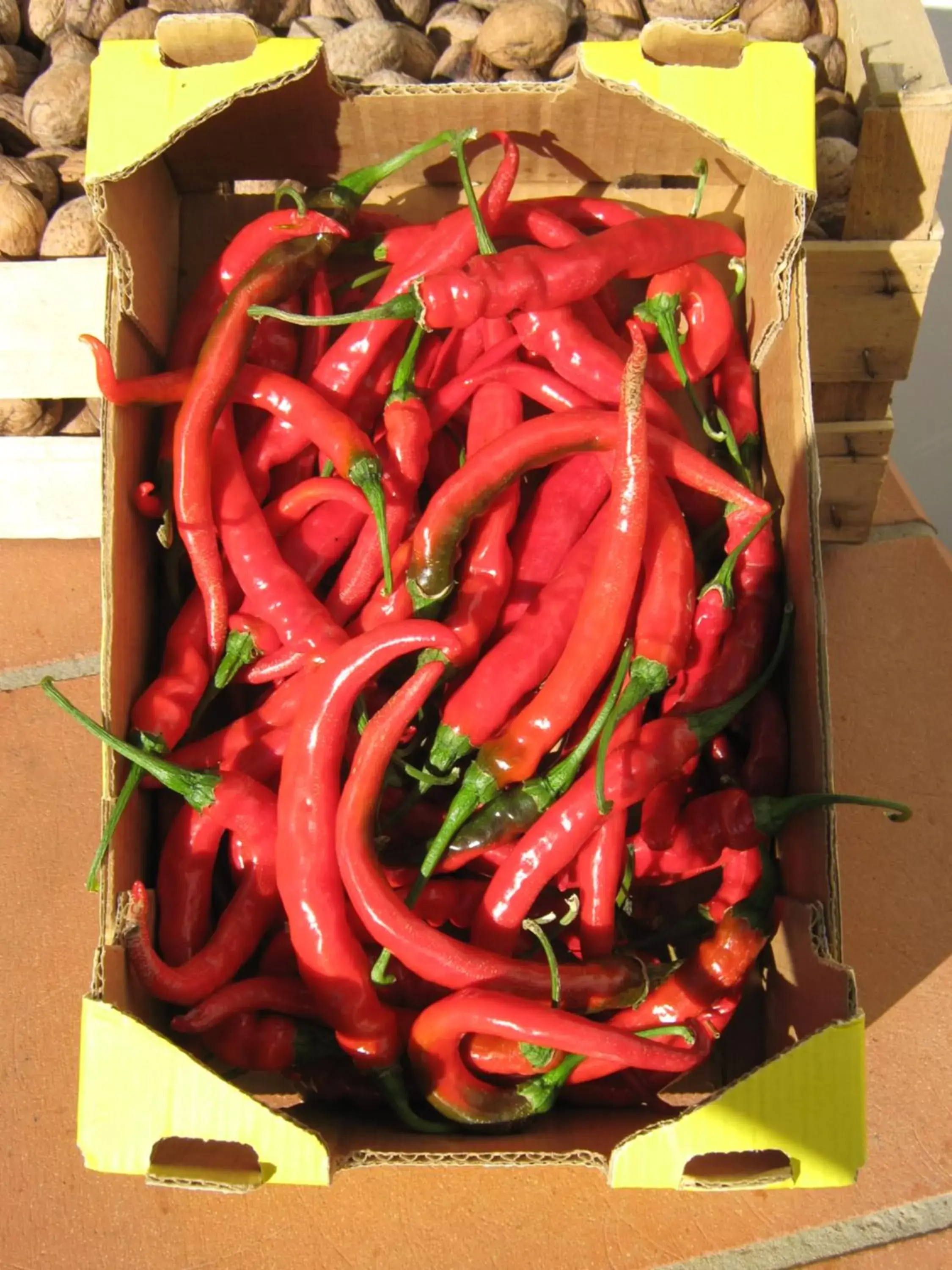 Autumn, Food in B & B OASI Autumn, Food in B & B OASI