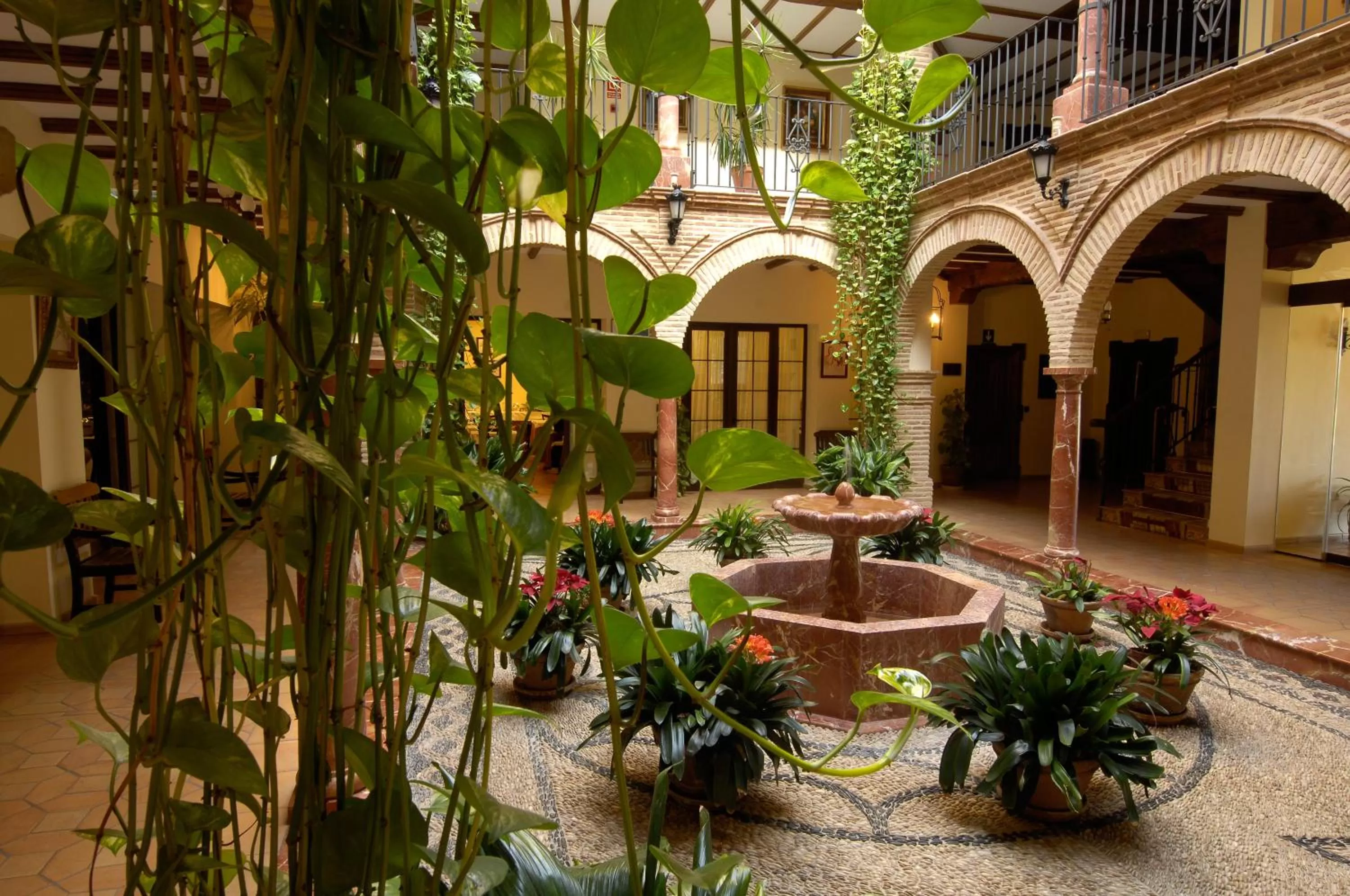 Patio in Finca Eslava