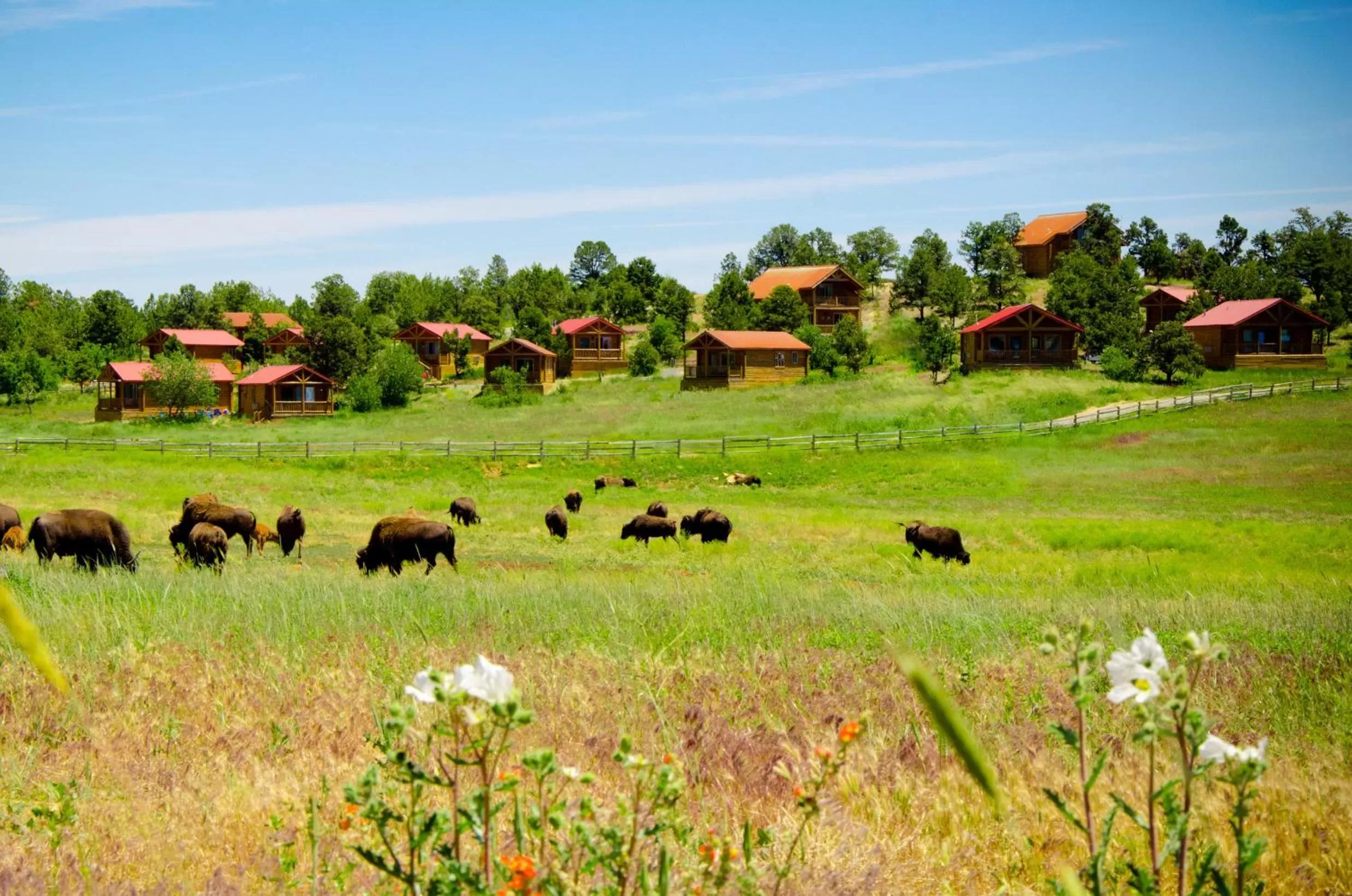 Neighbourhood in Zion Mountain Ranch