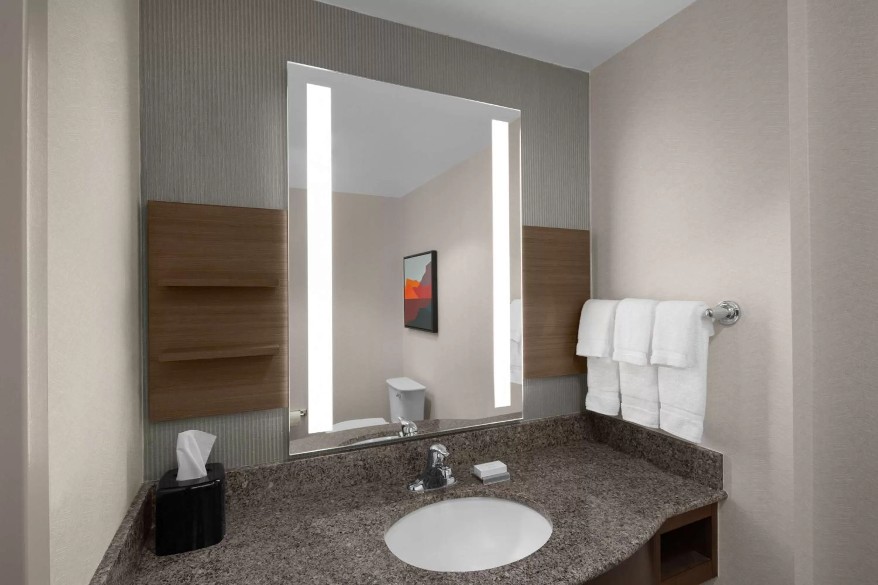 Bathroom in Hilton Garden Inn - Salt Lake City Airport