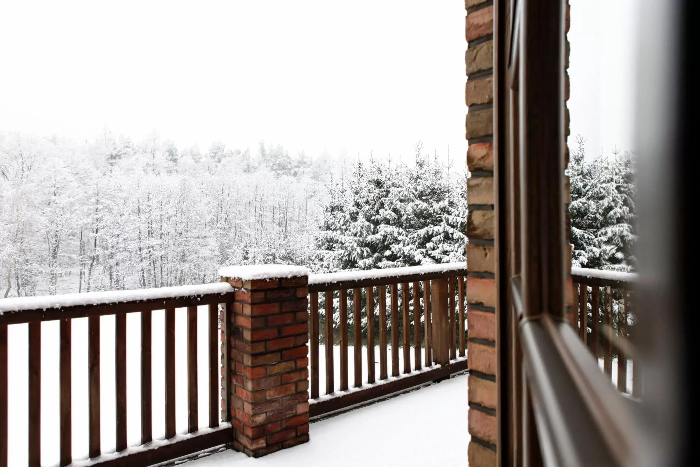 Premium Double or Twin Room in Guest house - single occupancy in Hotel Aubrecht Country Spa Resort Premium Double or Twin Room in Guest house - single occupancy in Hotel Aubrecht Country Spa Resort