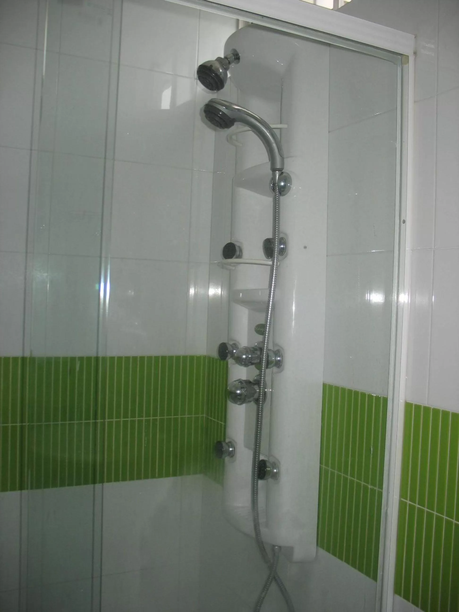 Shower, Bathroom in Hotel Palonegro