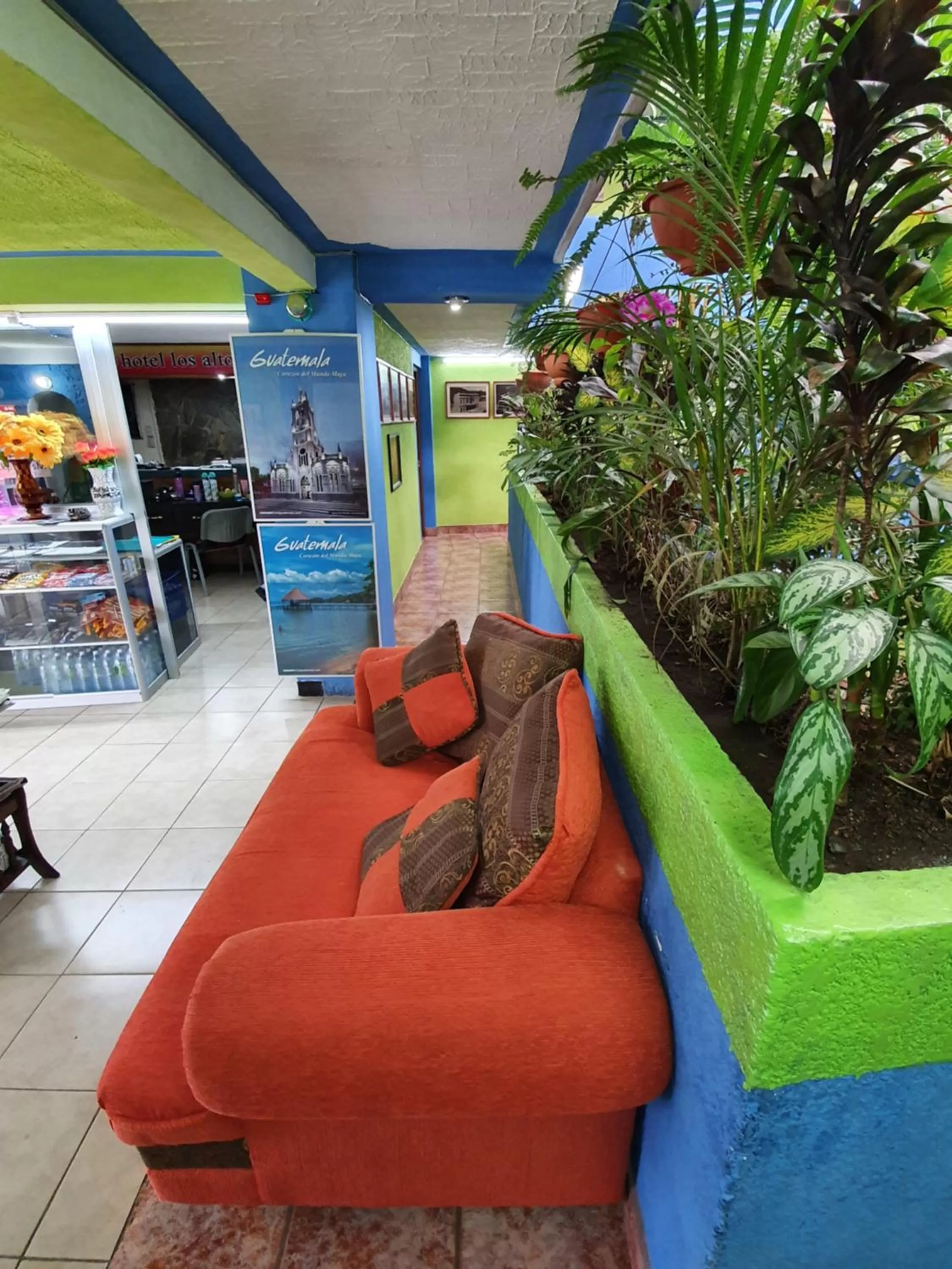 Lobby/Reception in hotel kasa kamelot 2