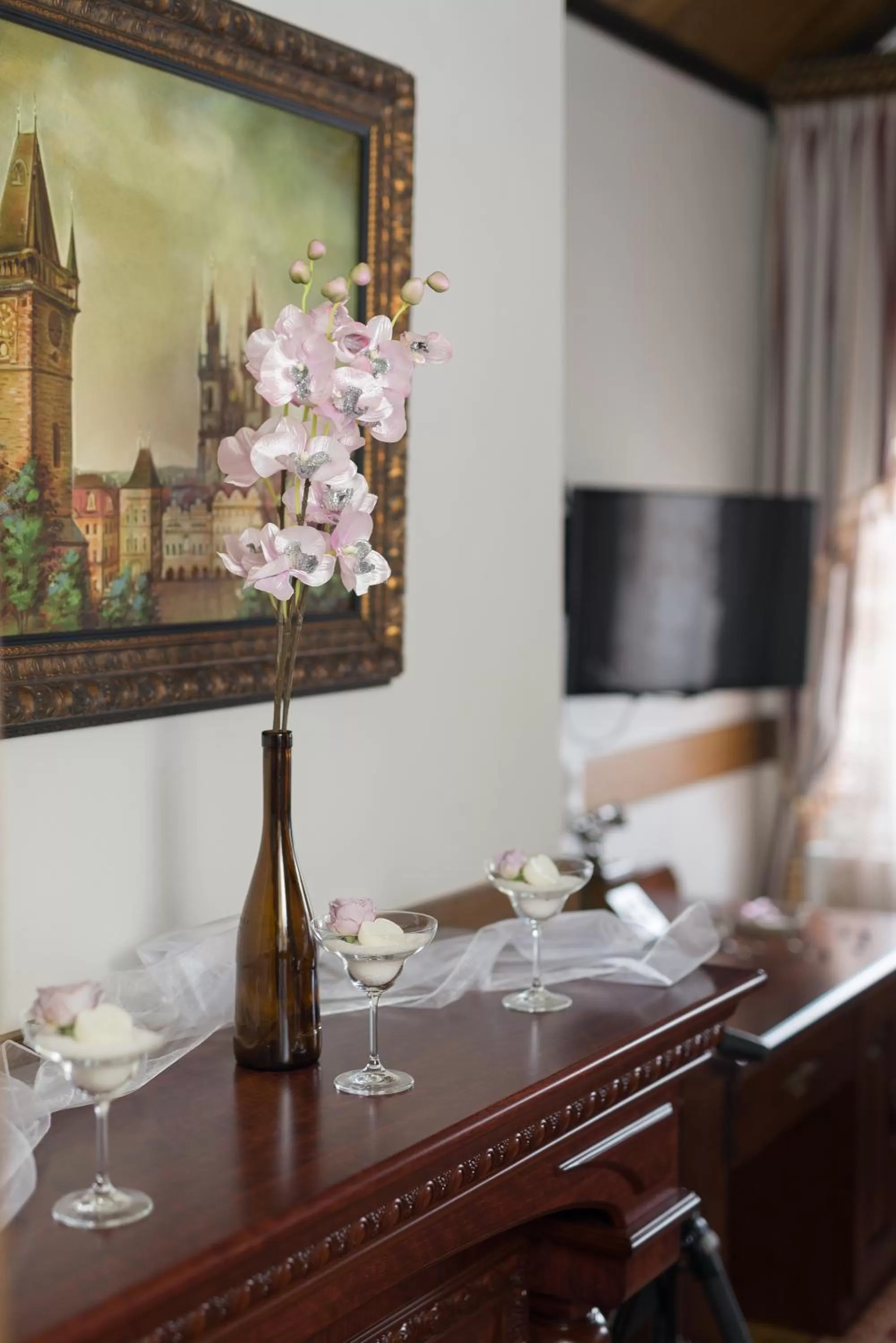 TV and multimedia in Zámek Lužec Spa & Wellness Resort