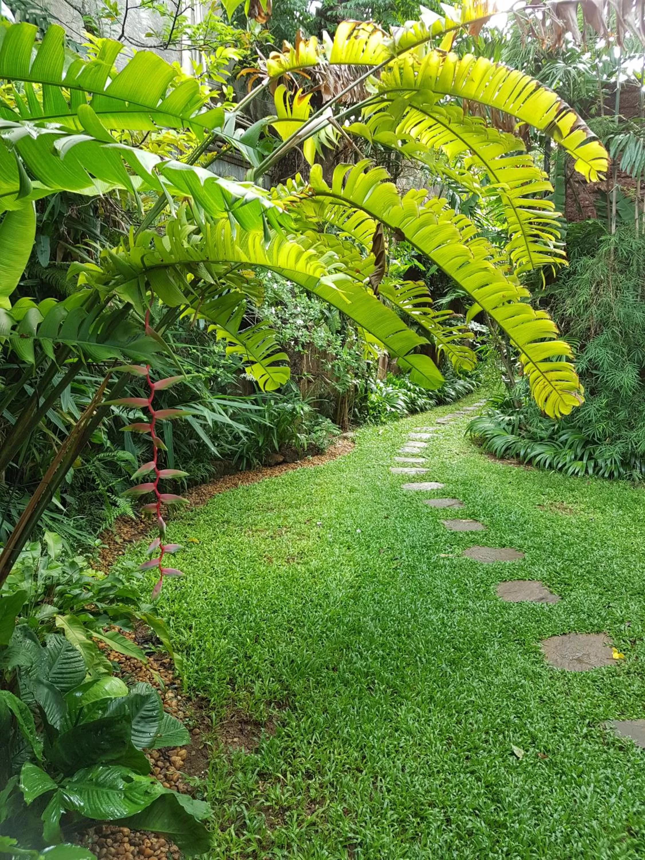Garden in Highbury Colombo