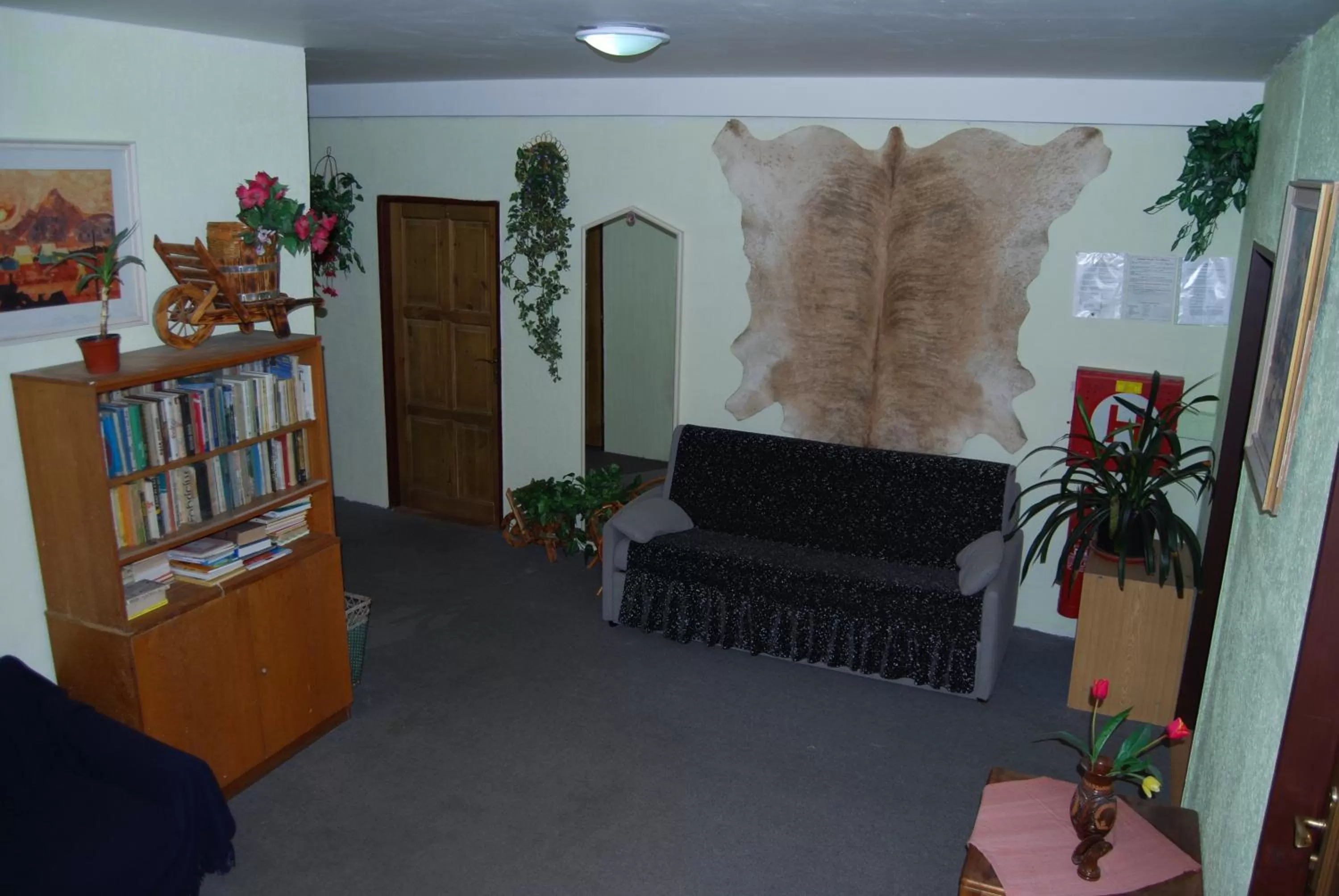 Library in Hotel Chata