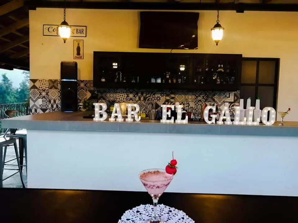 Lounge or bar in Hotel Danini