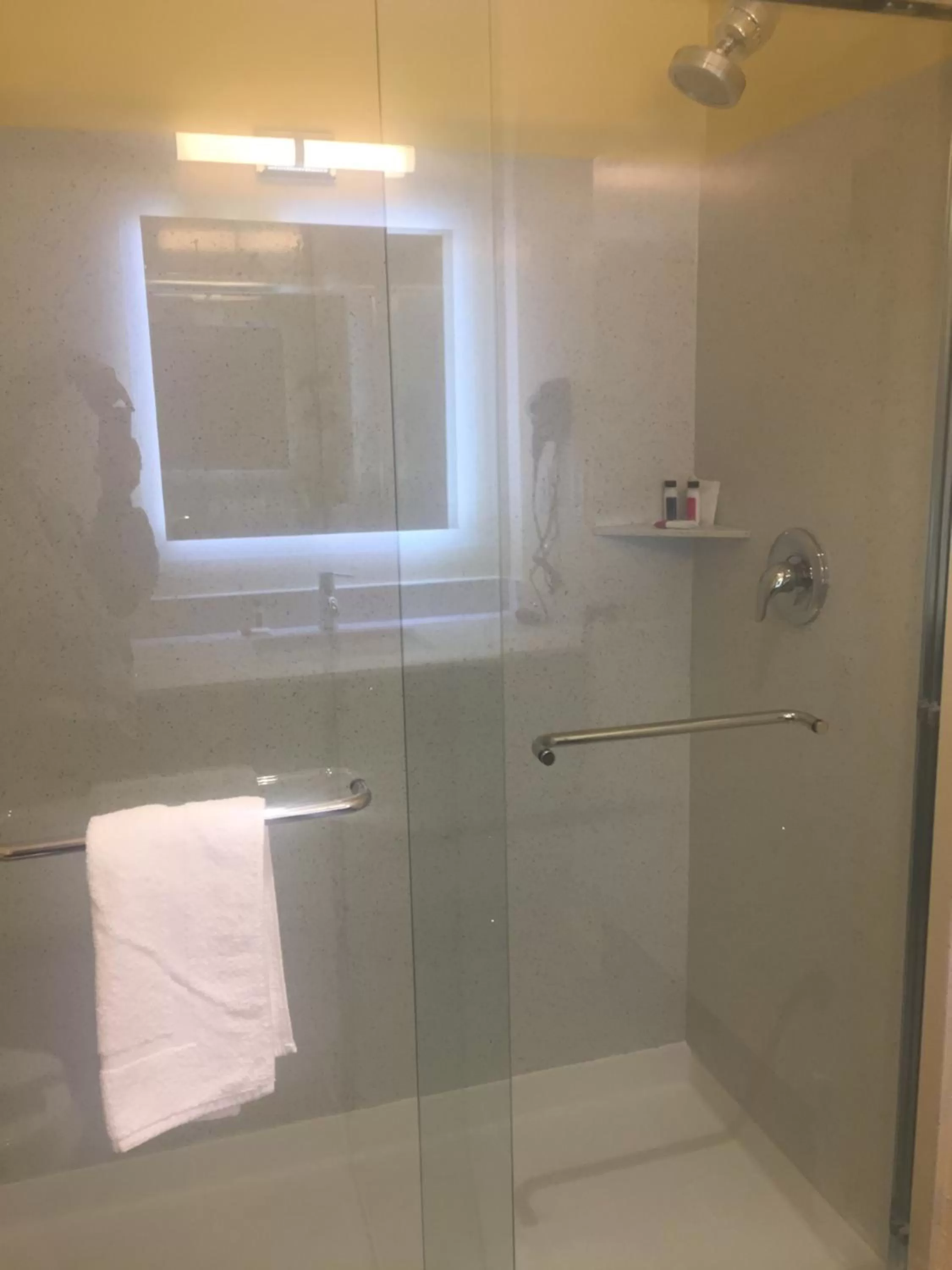 Shower in Days Inn by Wyndham Freeport