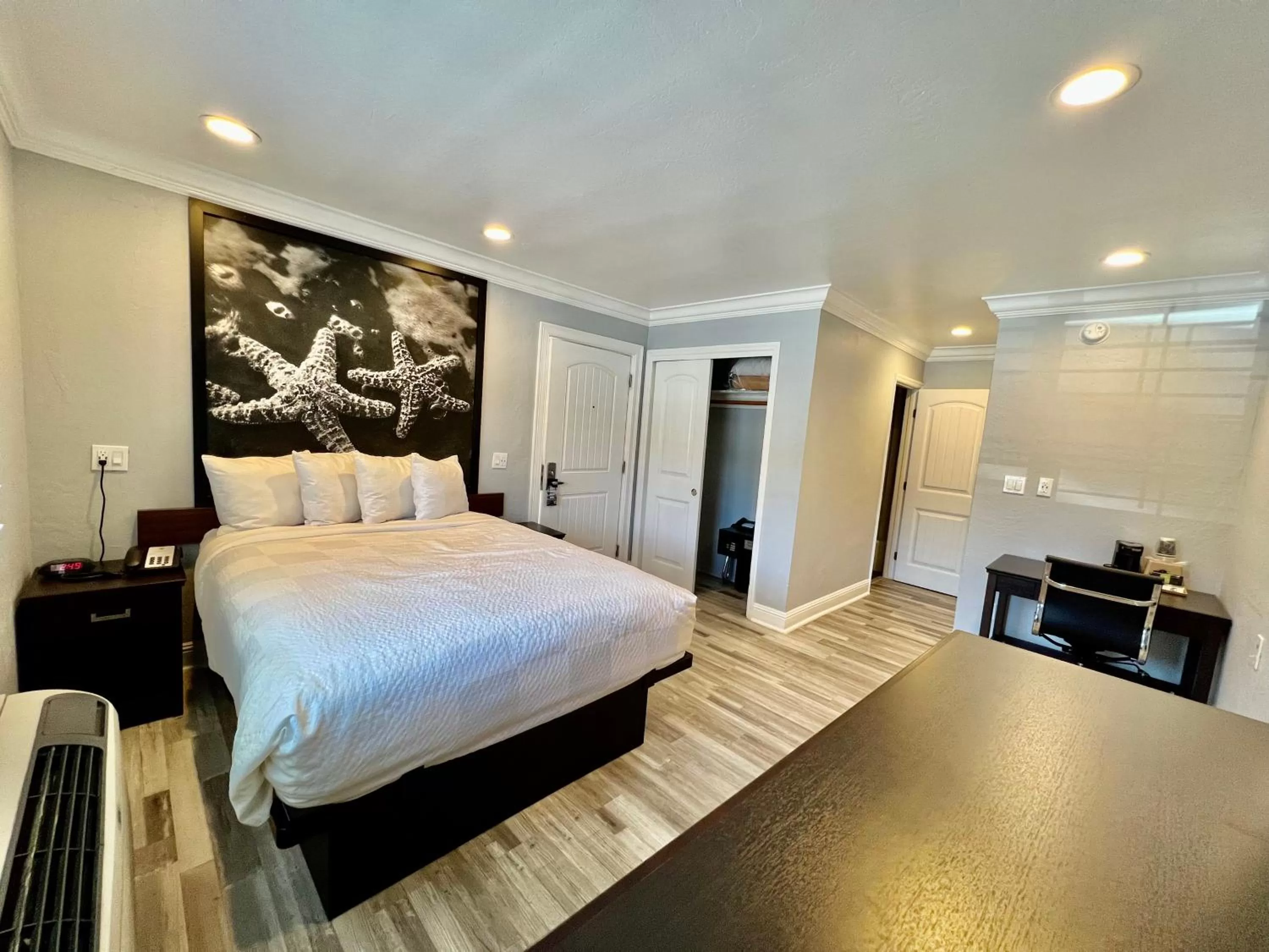 Photo of the whole room, Bed in Aura Inn Monterey