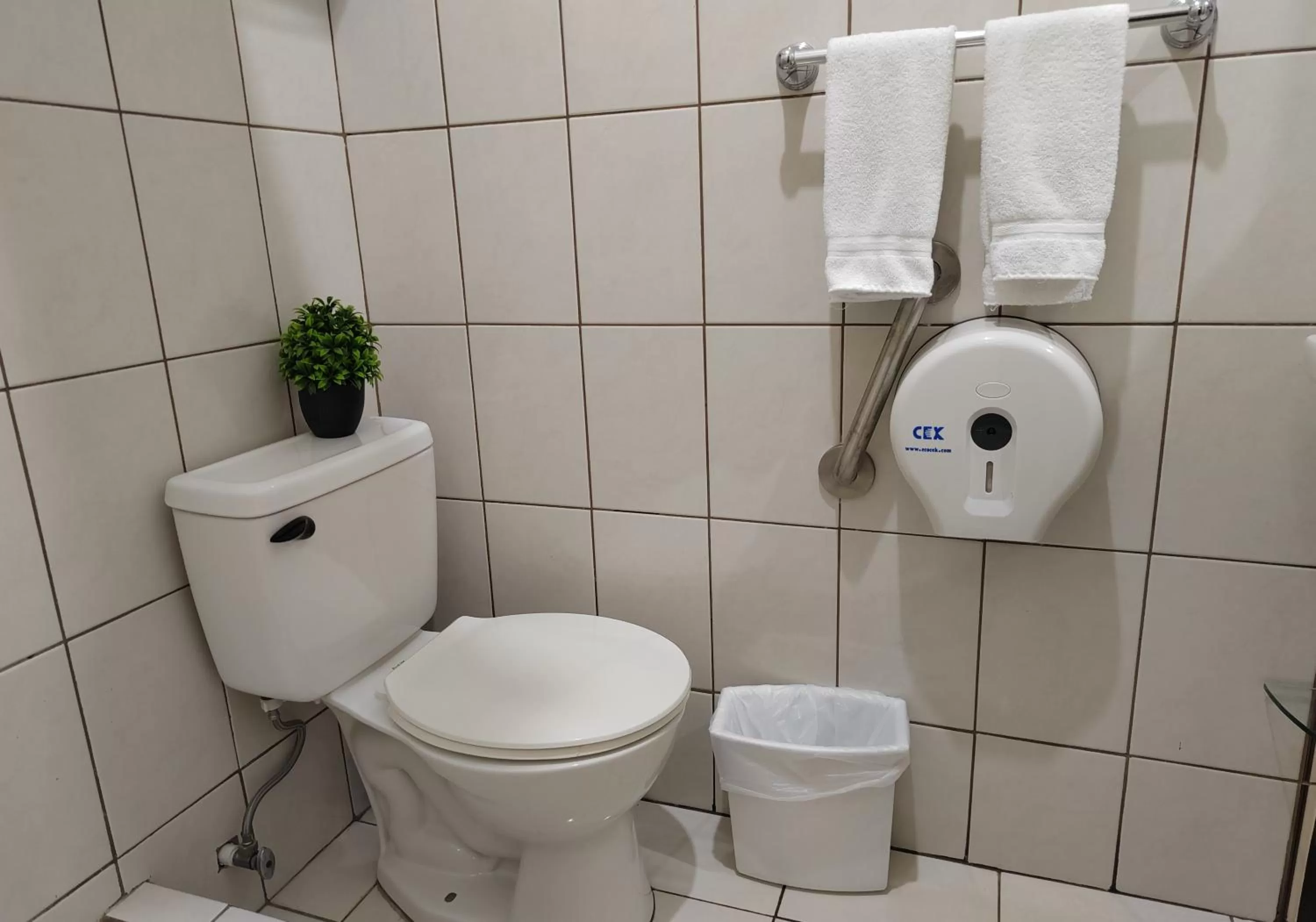 Toilet in Hotel Bamboo Aeropuerto