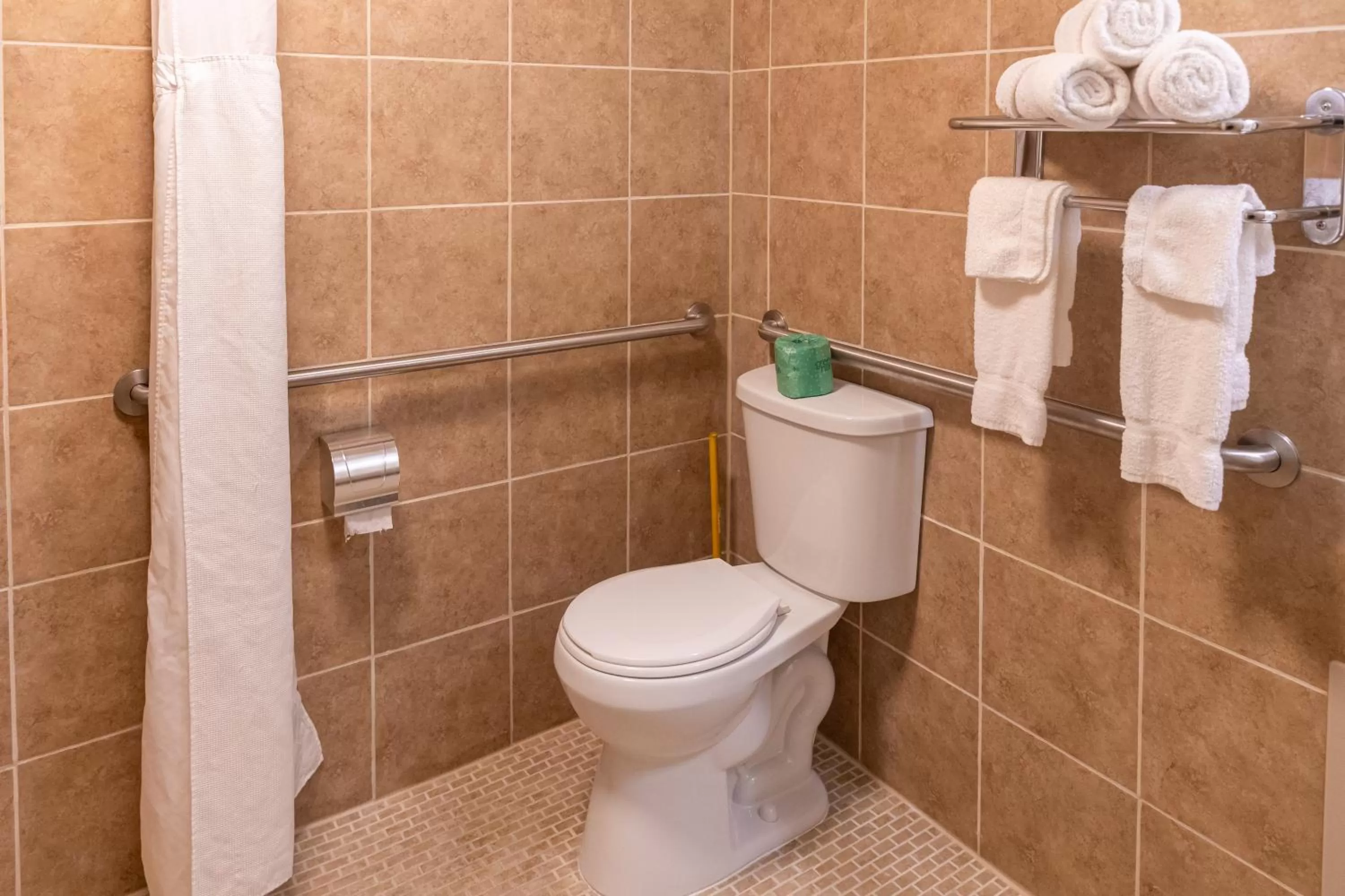 Deluxe King Suite in Cottonwood Suites Savannah Hotel & Conference Center