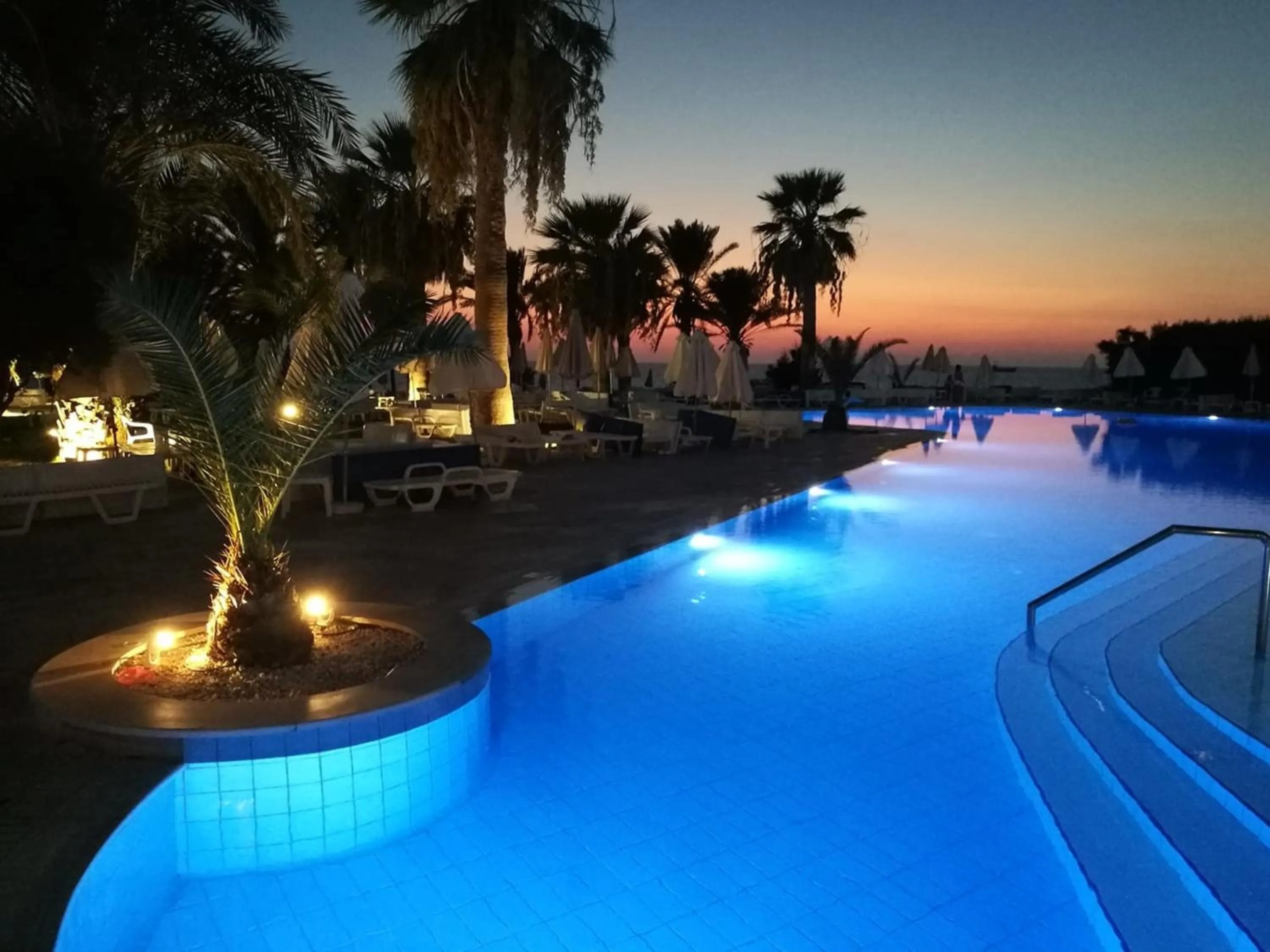 Garden in Venus Beach Hotel