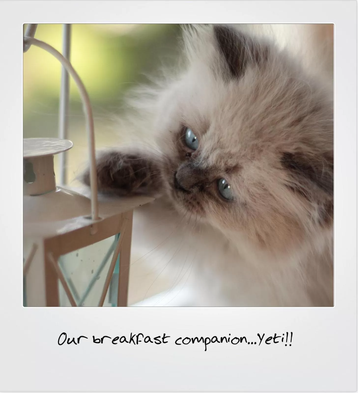 Quarrystone House B&B