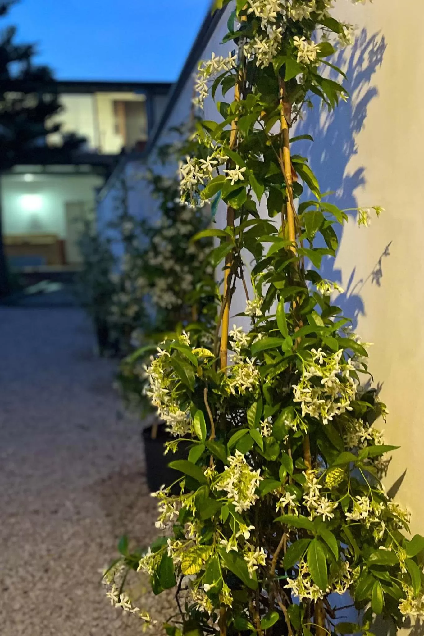 Property Building in B&B Dimora di Campagna "alle falde del Vesuvio"