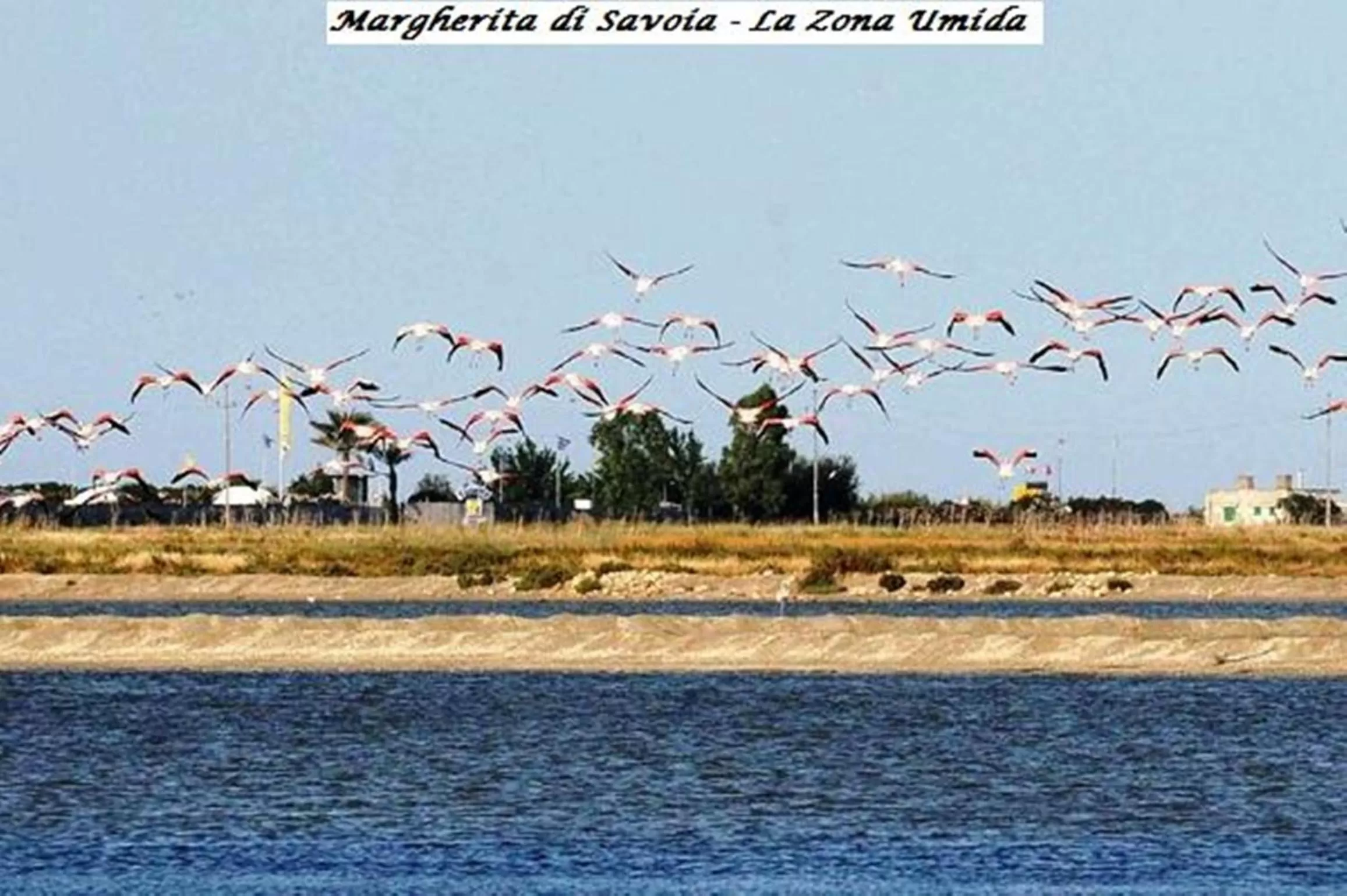 Other in Hotel Tenuta San Francesco