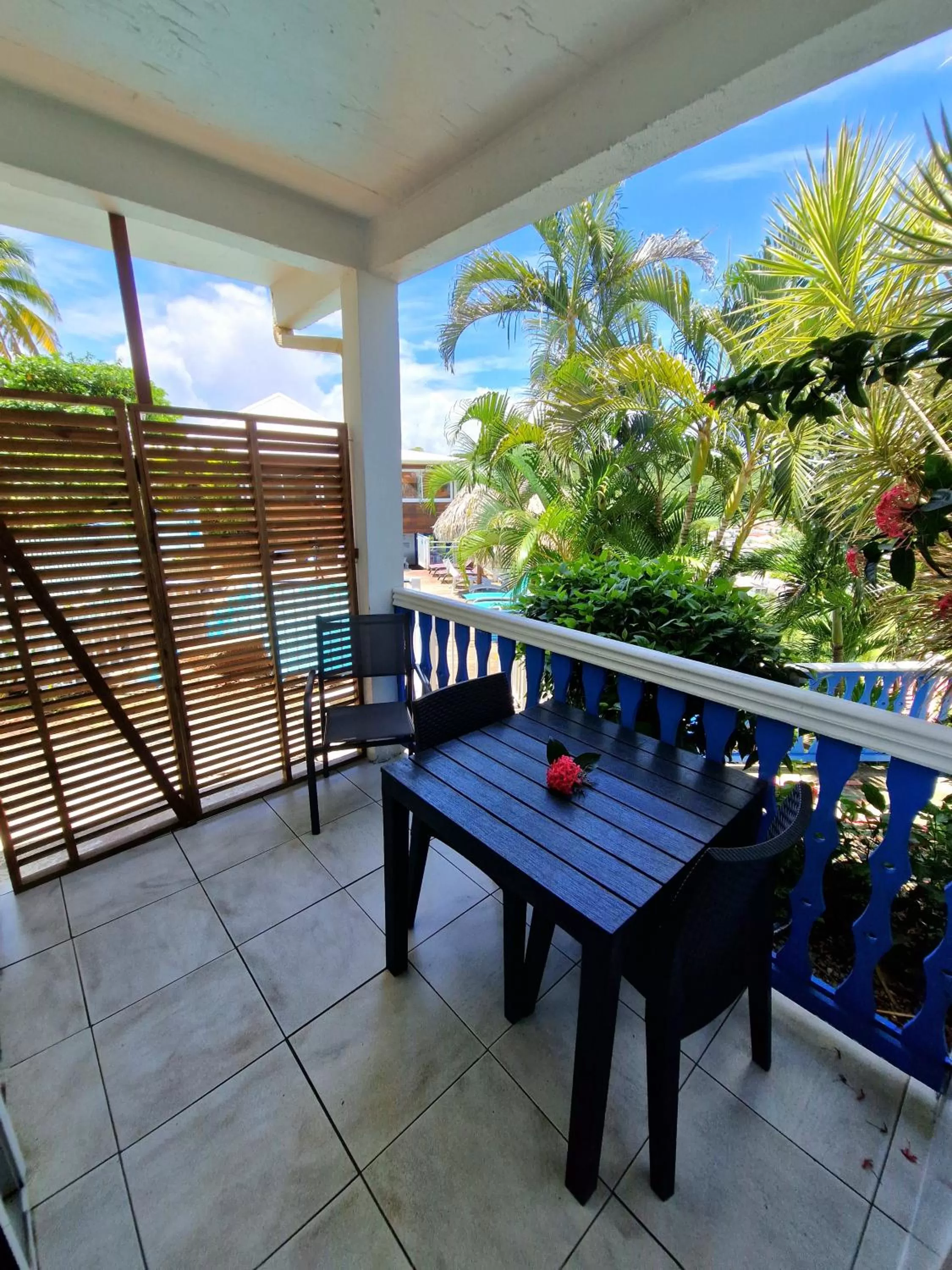 Balcony/Terrace in Hotel Le Manguier