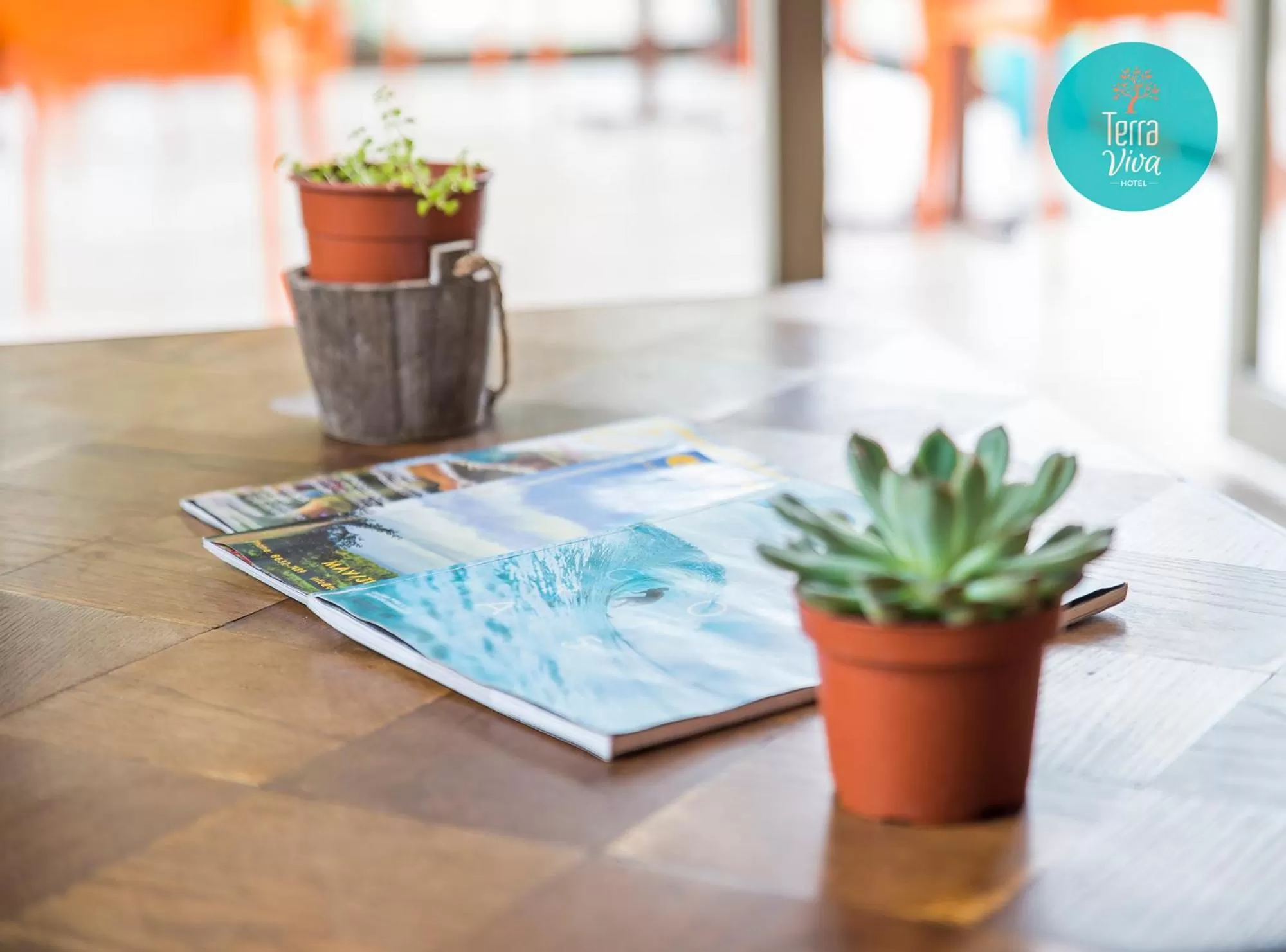 Entertainment in Hotel Terra Viva