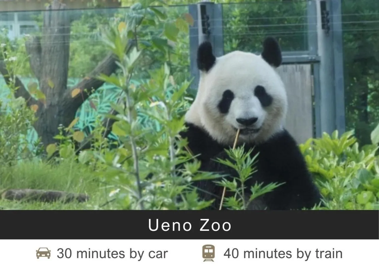 Nearby landmark in Tokyu Stay Shibuya