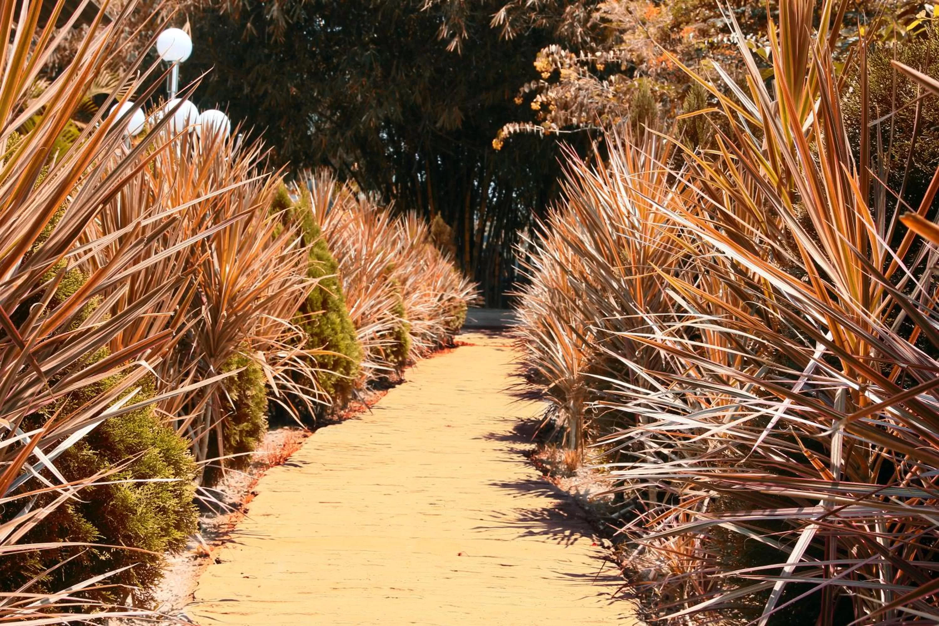 Opulent River Face Hotel