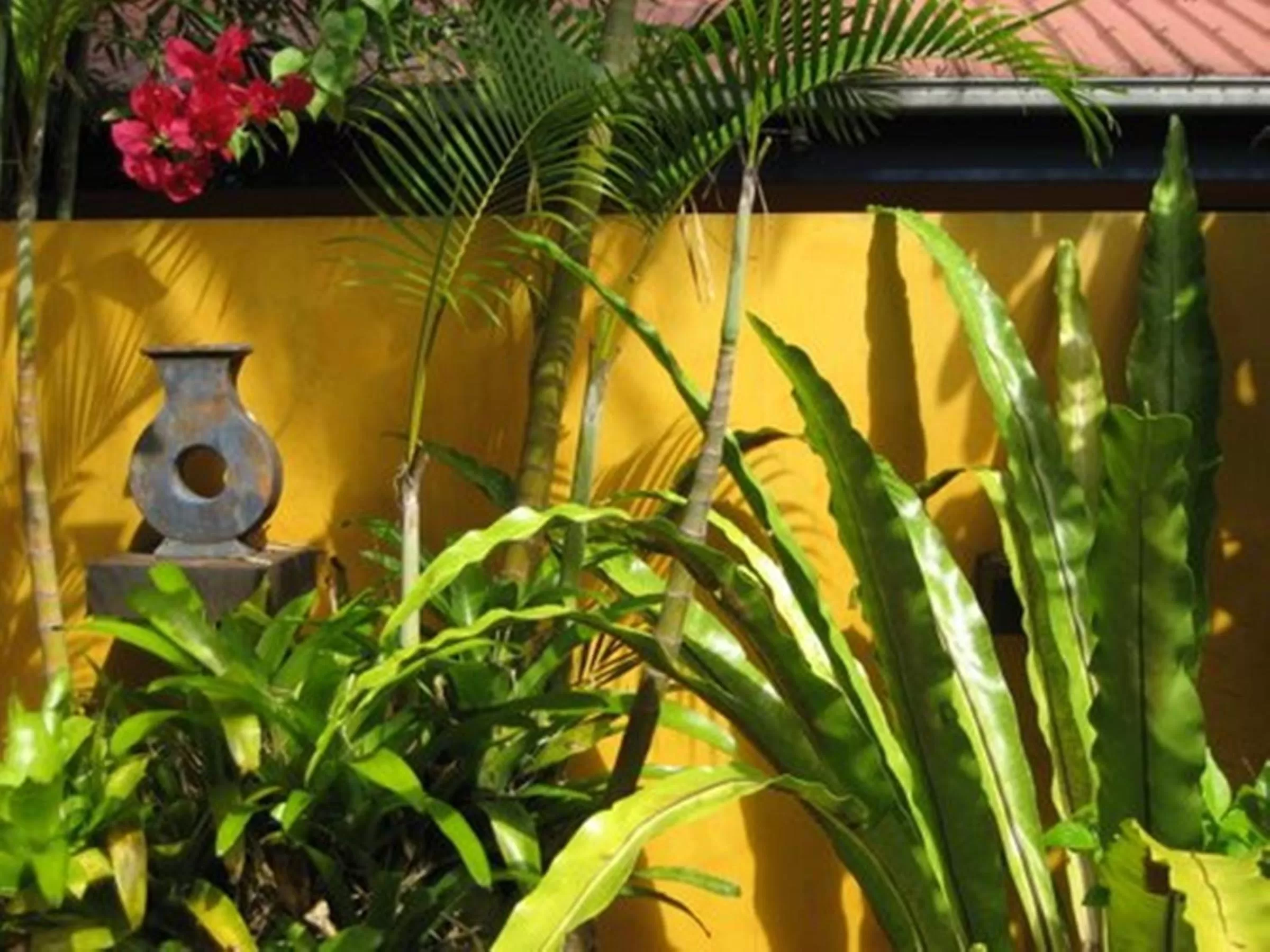 Garden in Pink Flamingo Resort