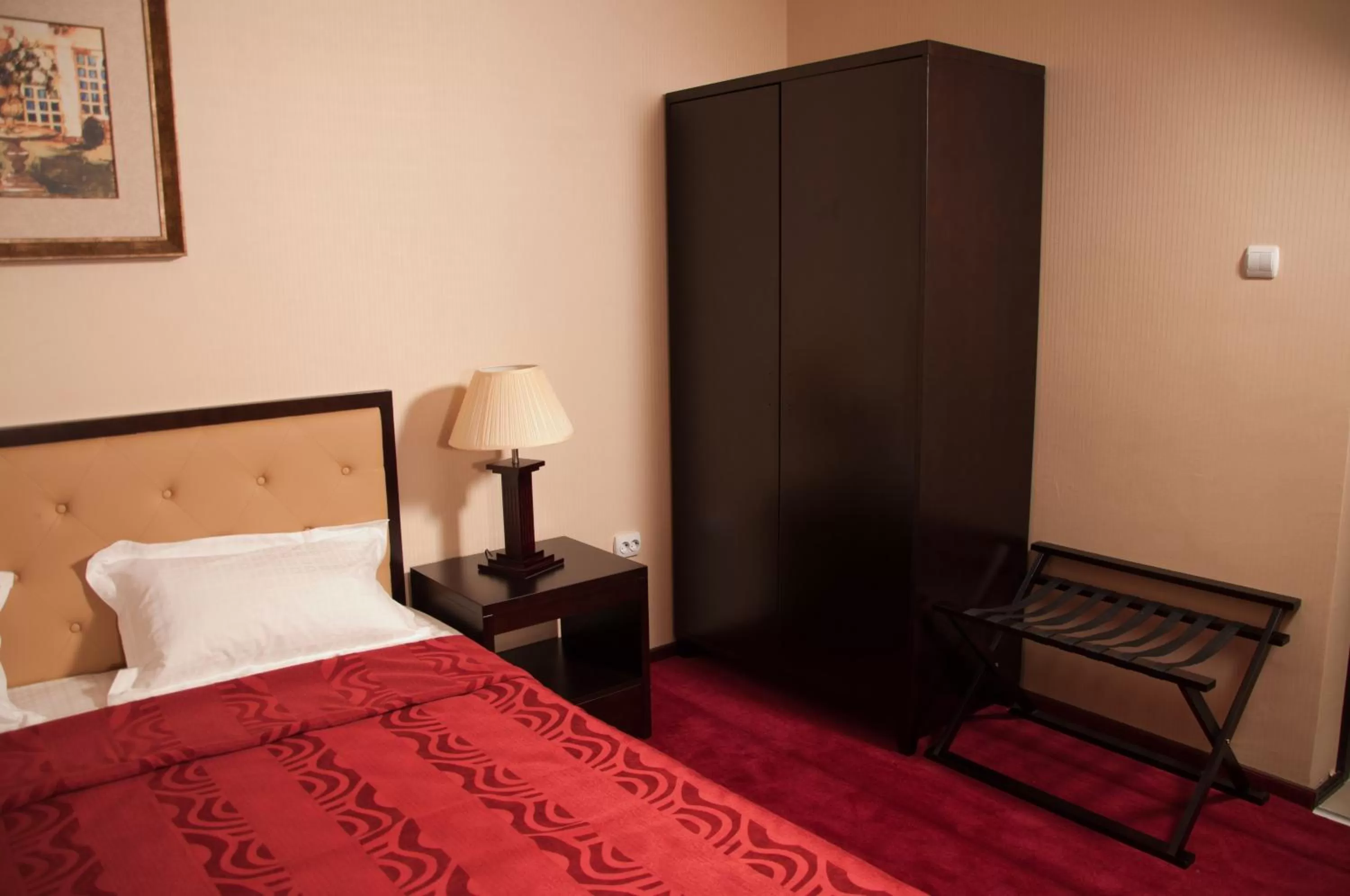 Photo of the whole room in Hotel Baden