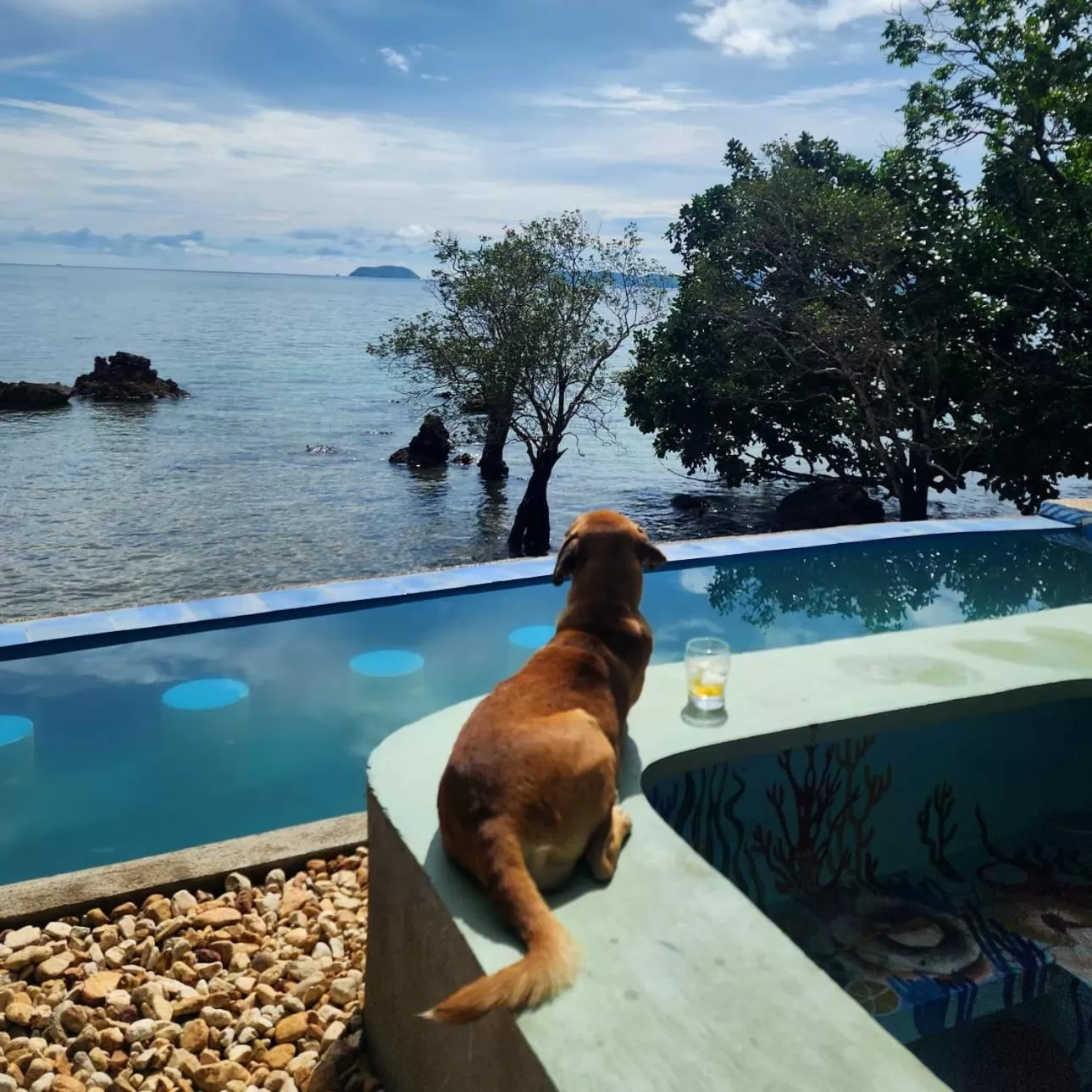 Swimming pool in Cocovana Beach Resort
