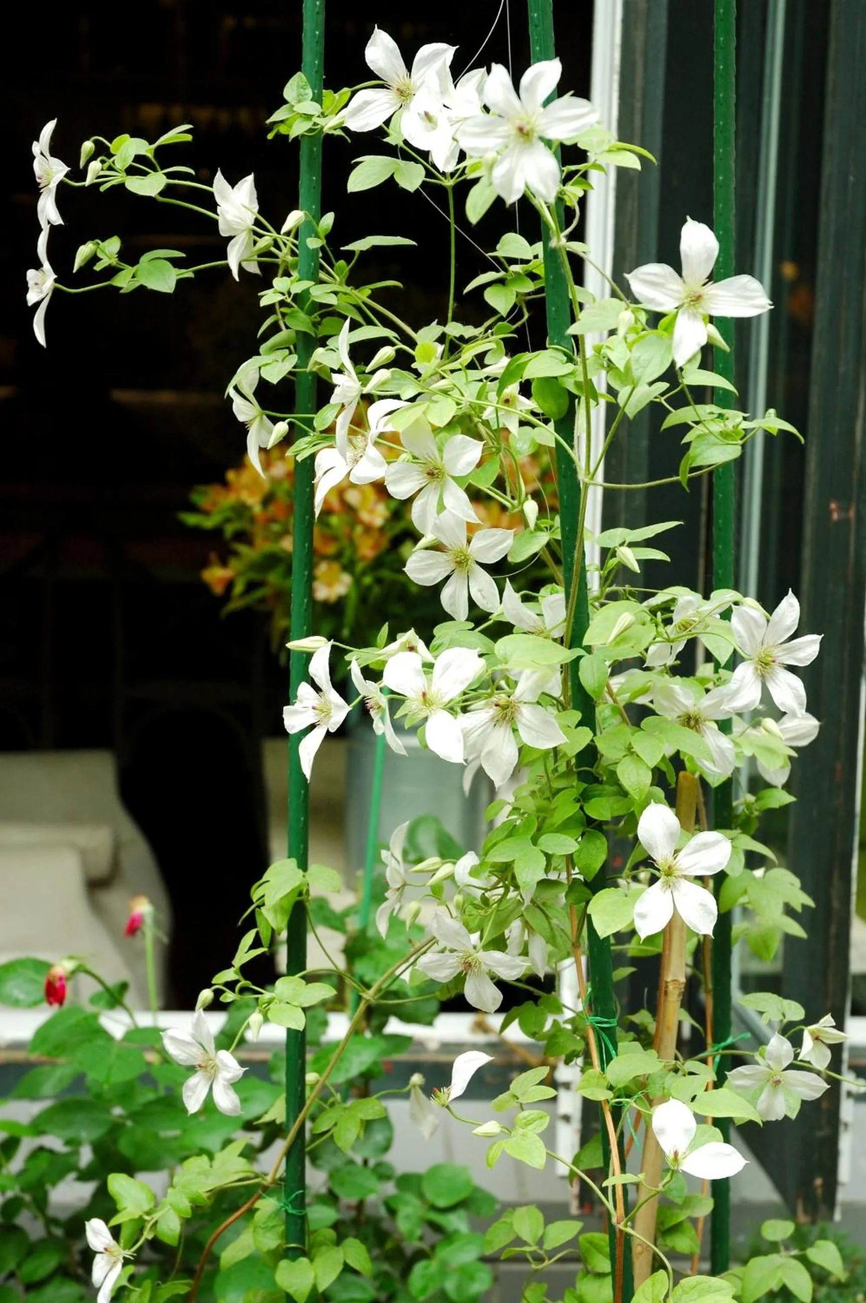 Decorative detail in Peking Youth Hostel
