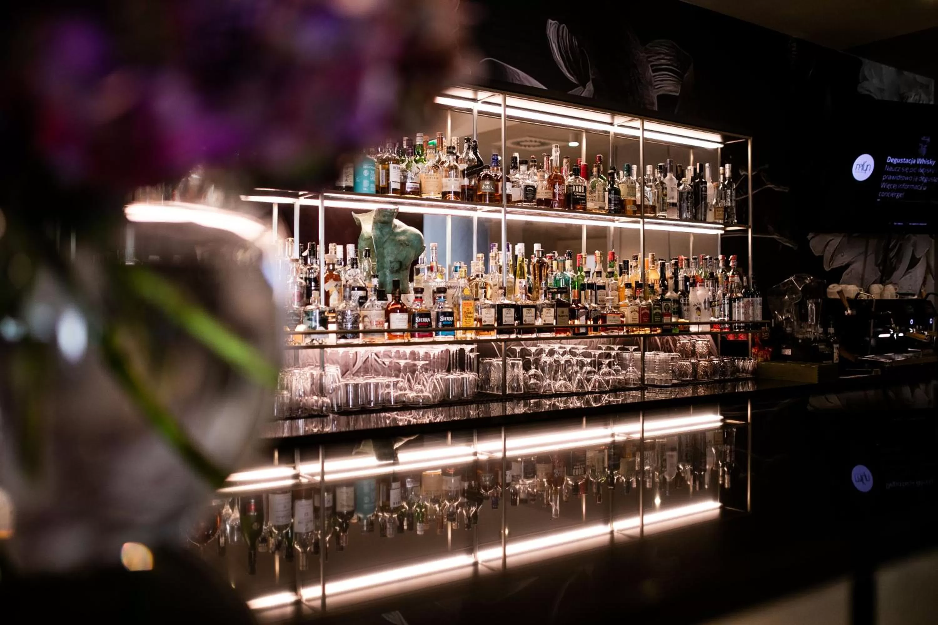 Restaurant/places to eat in GRANO HOTEL Gdańsk Old Town