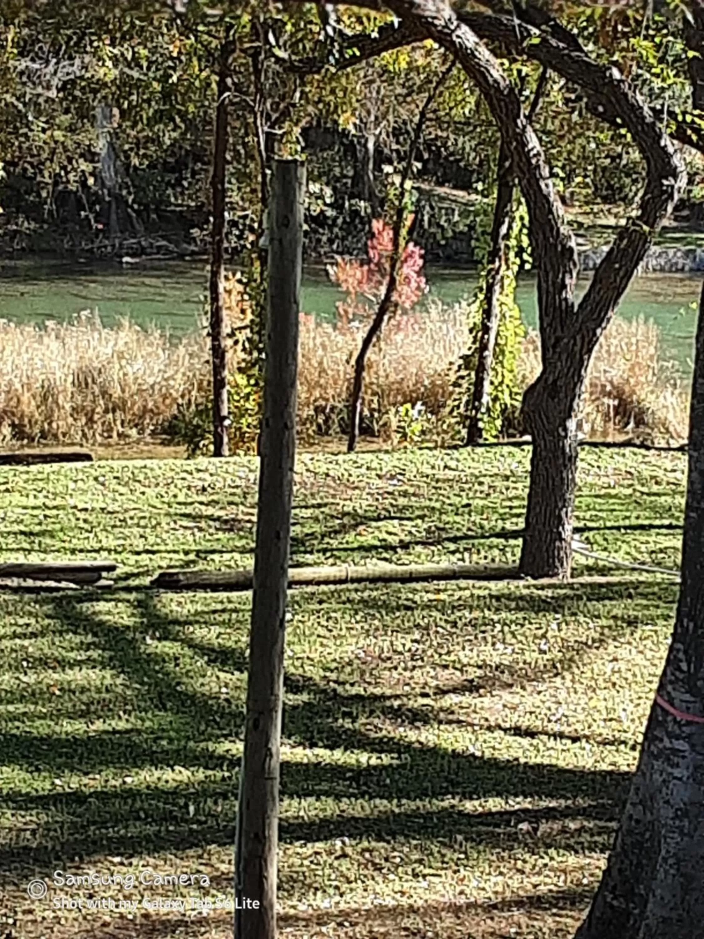 Garden view in Horseshoe Riverside Lodge