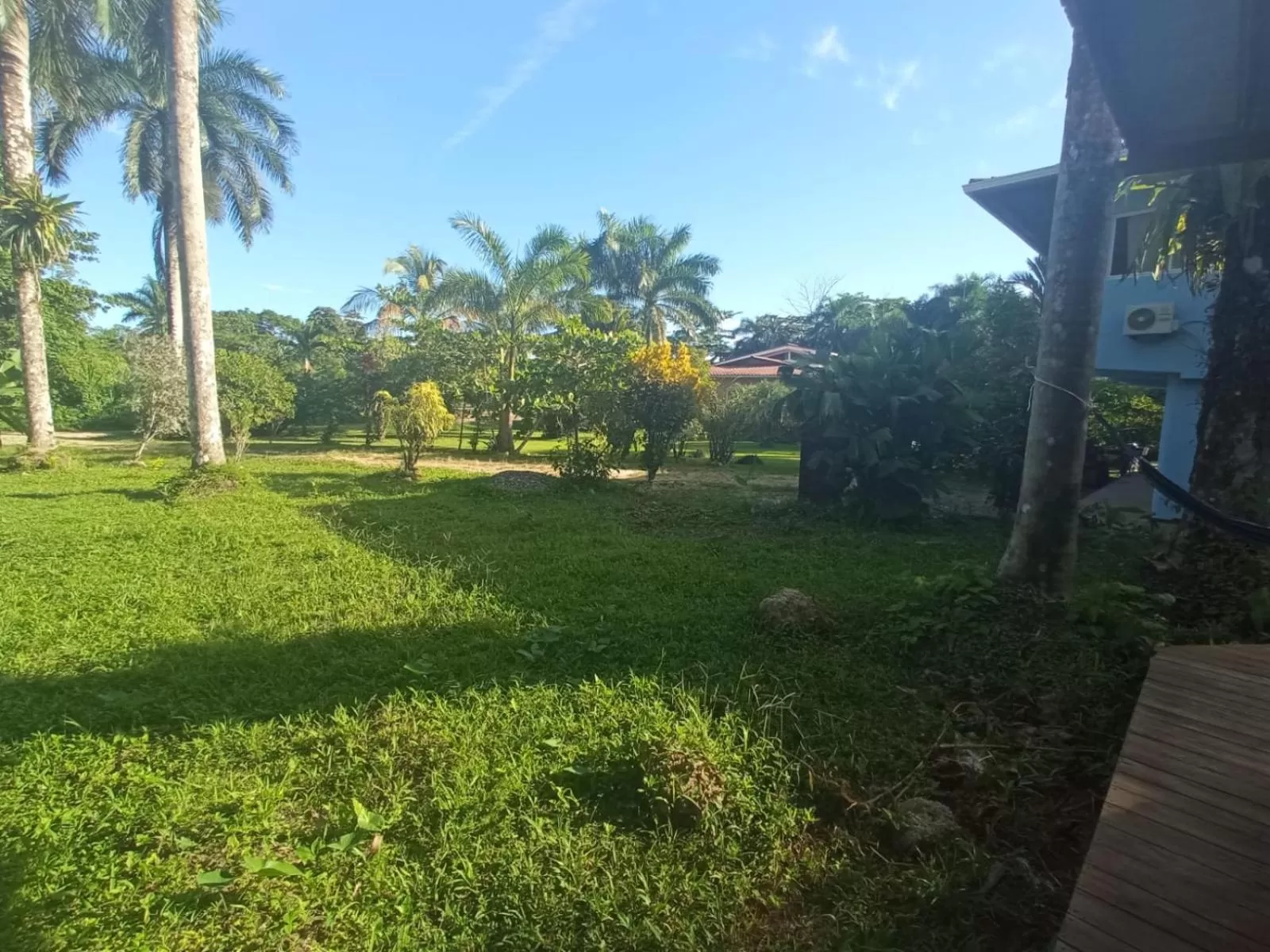 Garden in La Luciernaga Big Creek