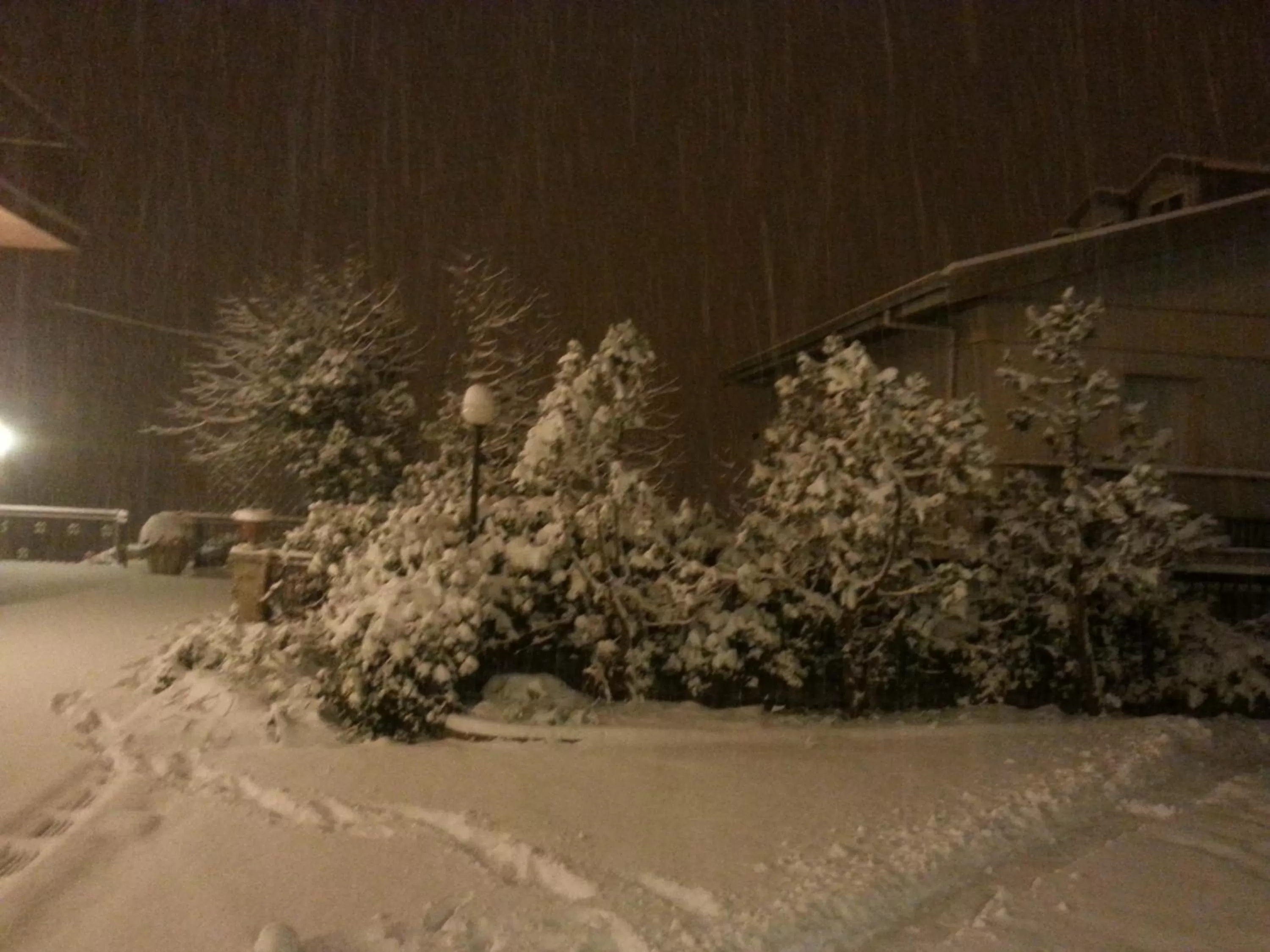 Garden in Albergo Villa Nobile