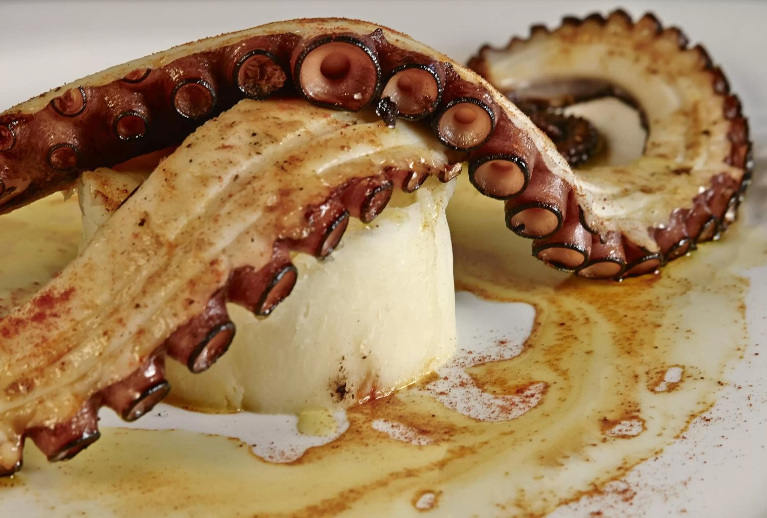 Food close-up in Hotel Alfonso IX