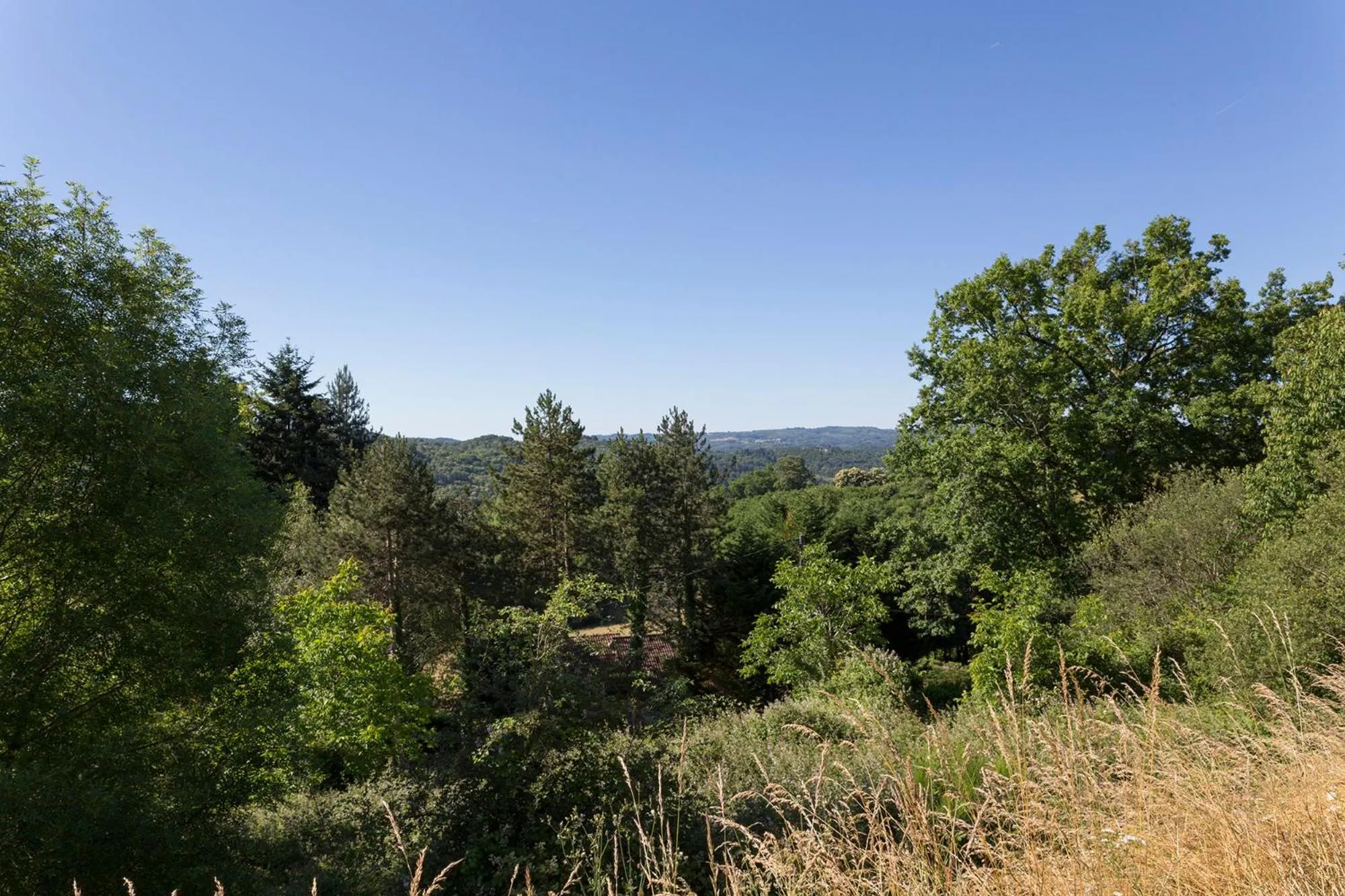 Spring in The Originals Access, Hôtel Tulle