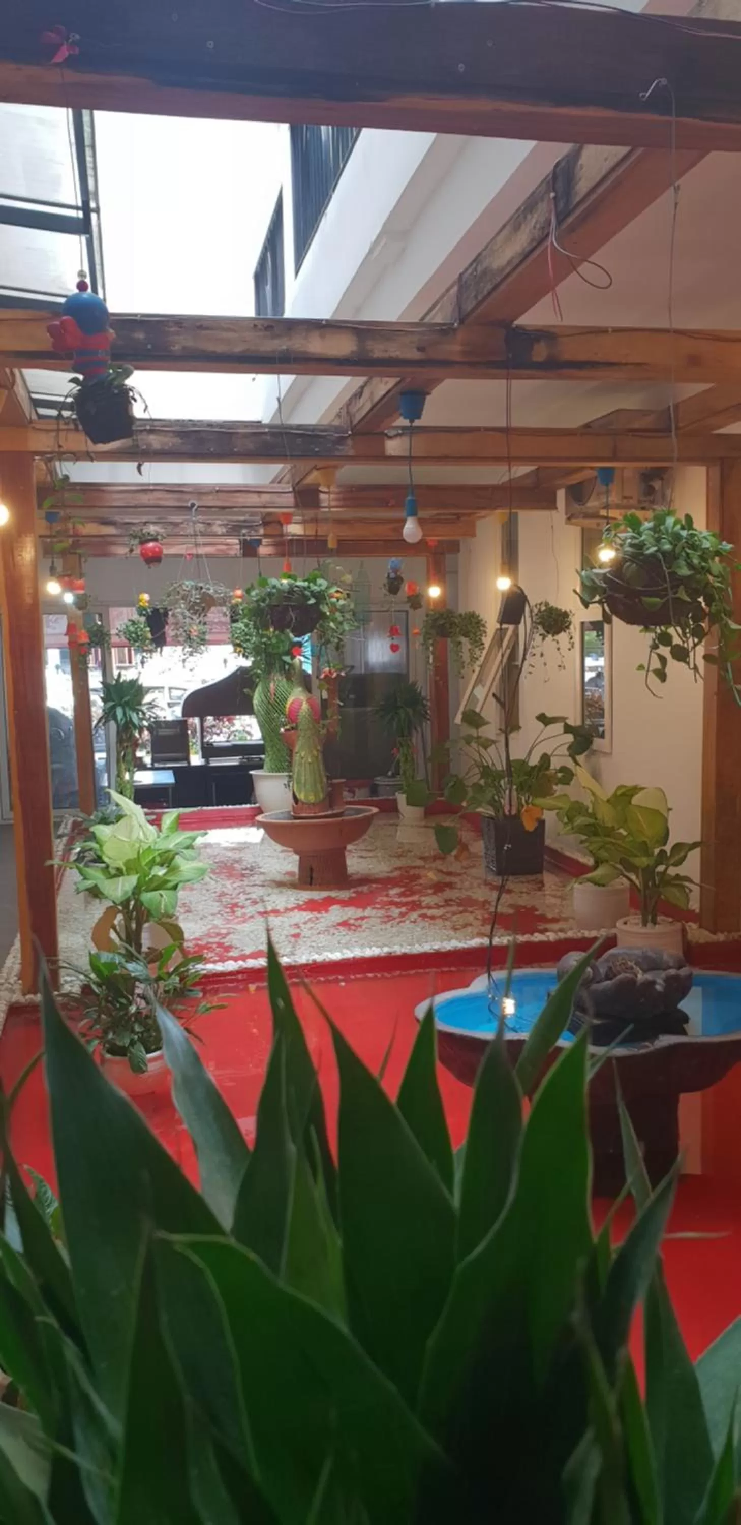 Restaurant/Places to Eat in Benny's City Hotel