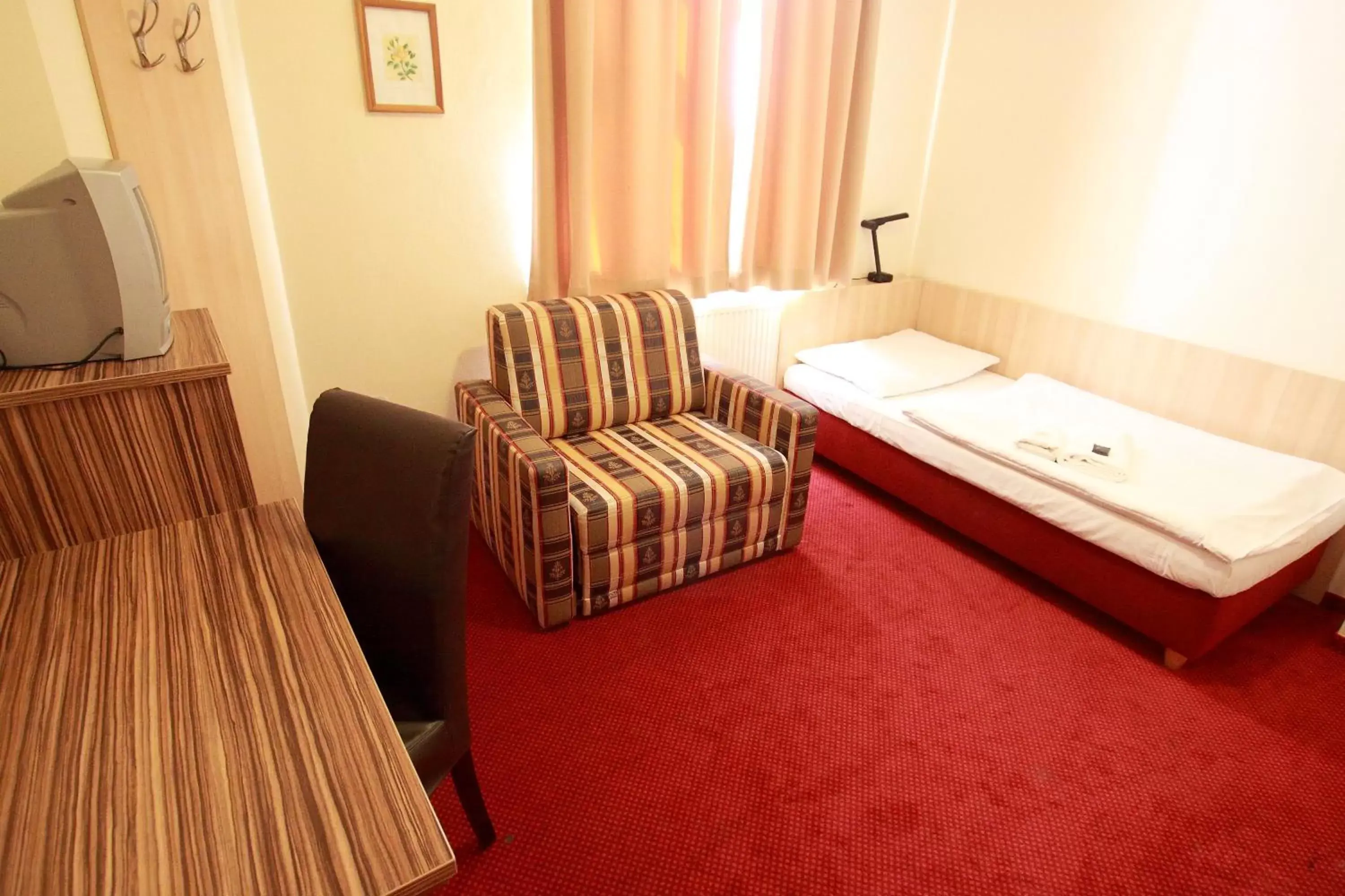 Single Room in Hotel U Divadla Single Room in Hotel U Divadla