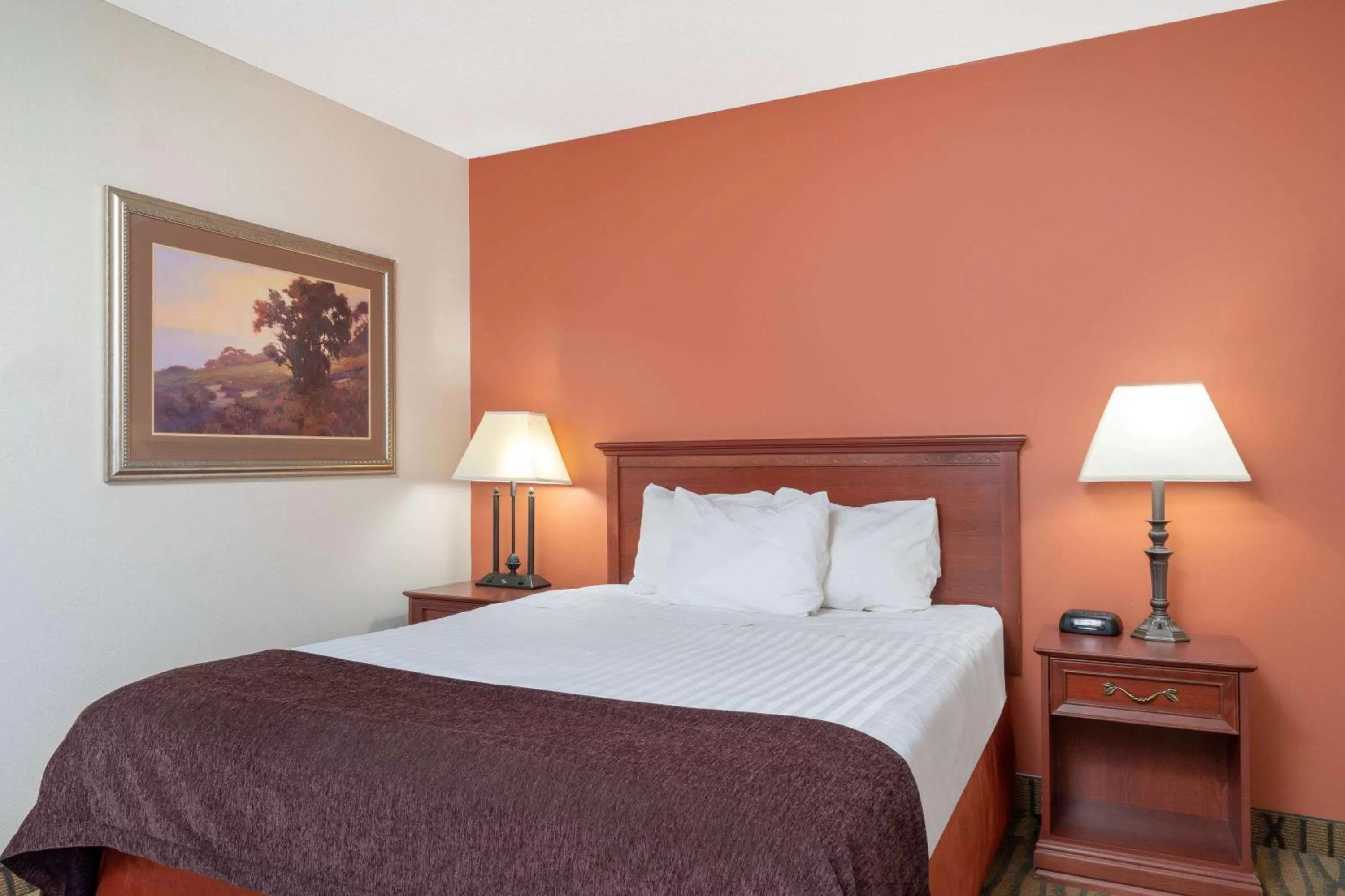 Photo of the whole room, Bed in AmericInn by Wyndham Rogers