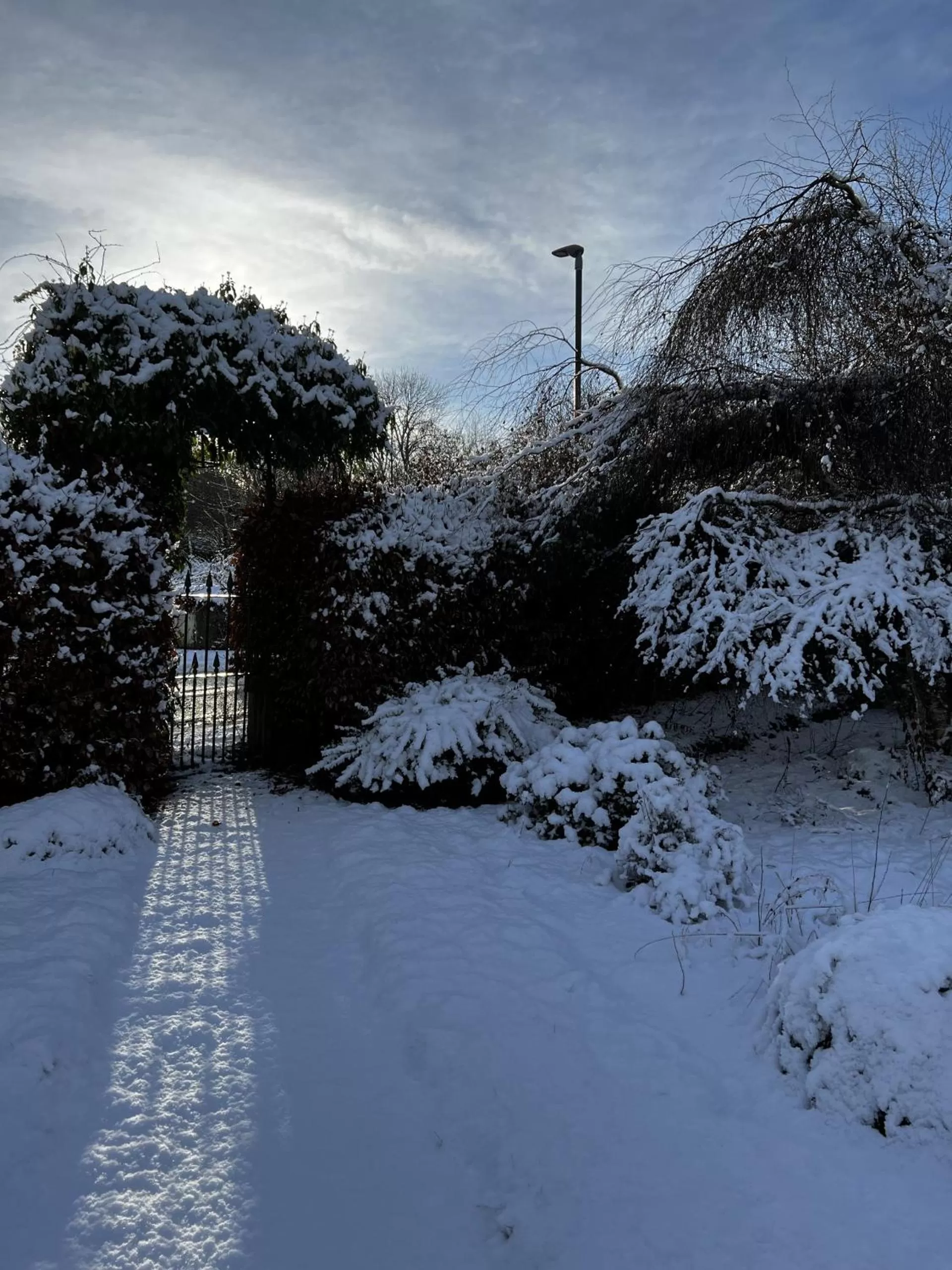 Garden in St Duthus Villa Guesthouse