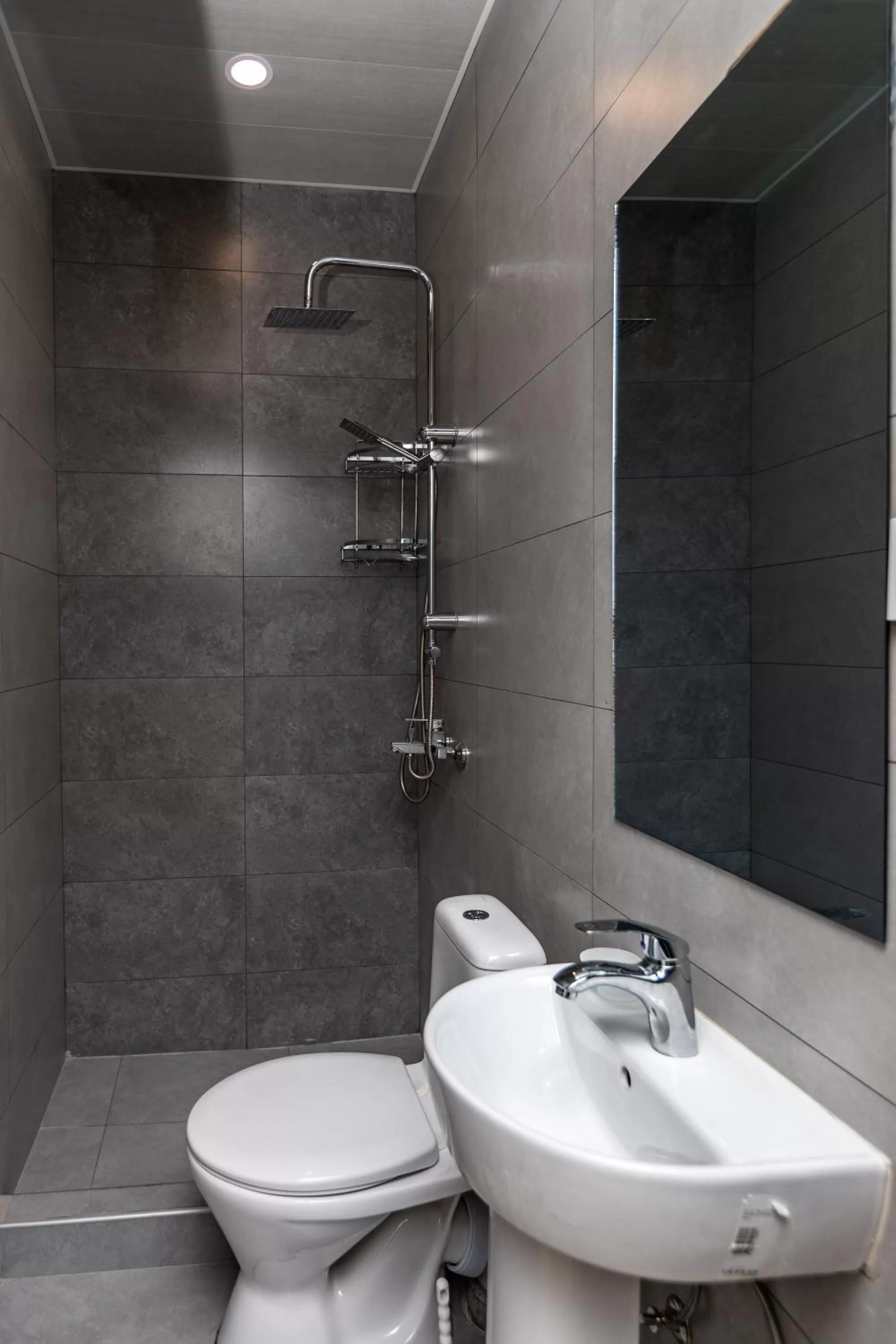 Toilet, Bathroom in Grape House