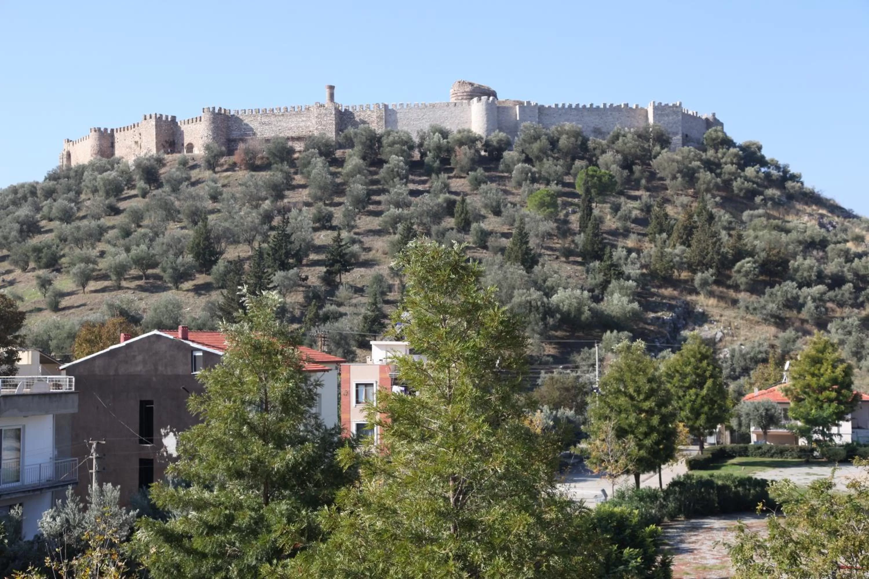 View (from property/room) in Hotel Ave Maria