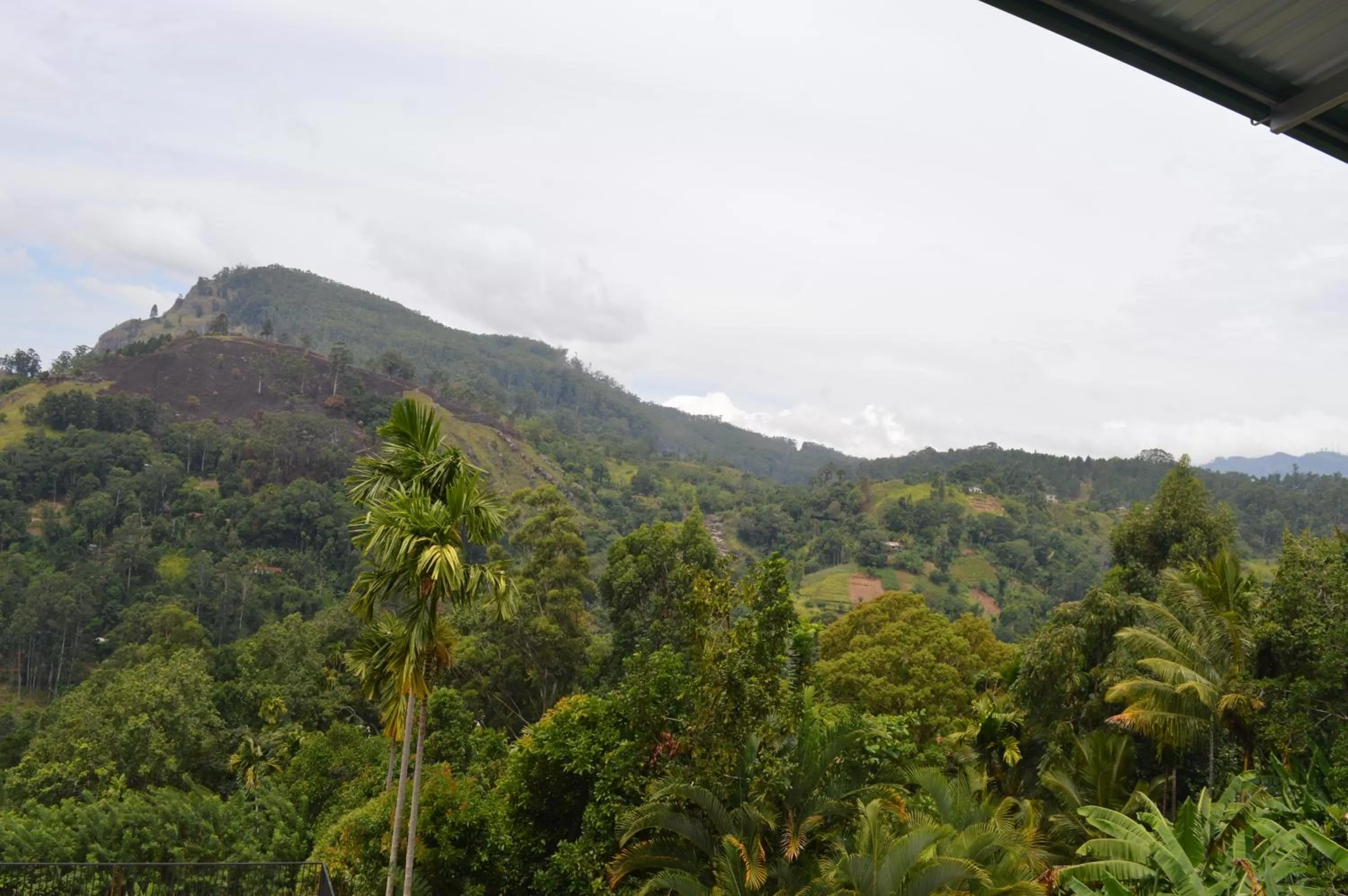 Mountain View in Heavens Seven