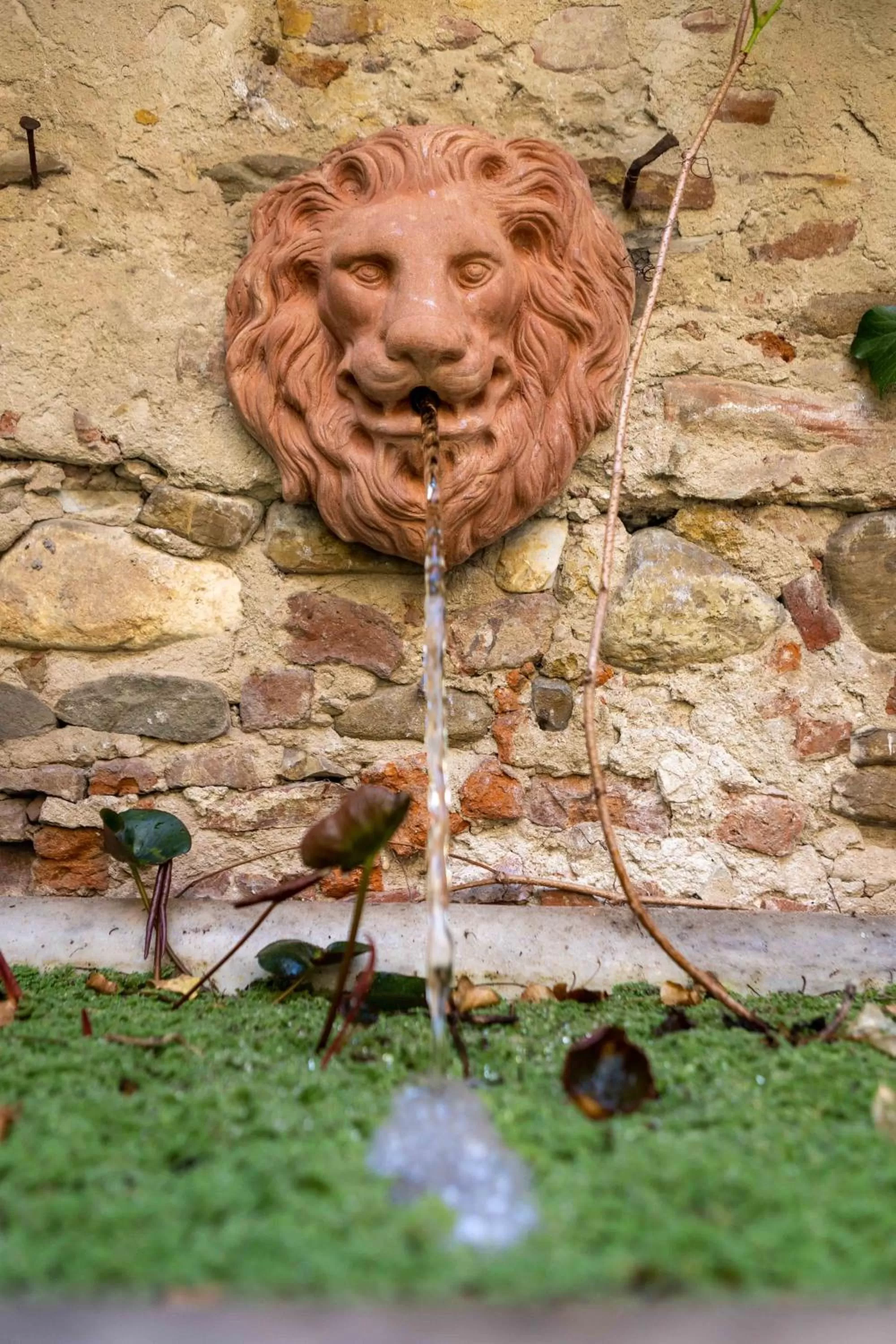 Garden in Secret Garden Firenze B&B