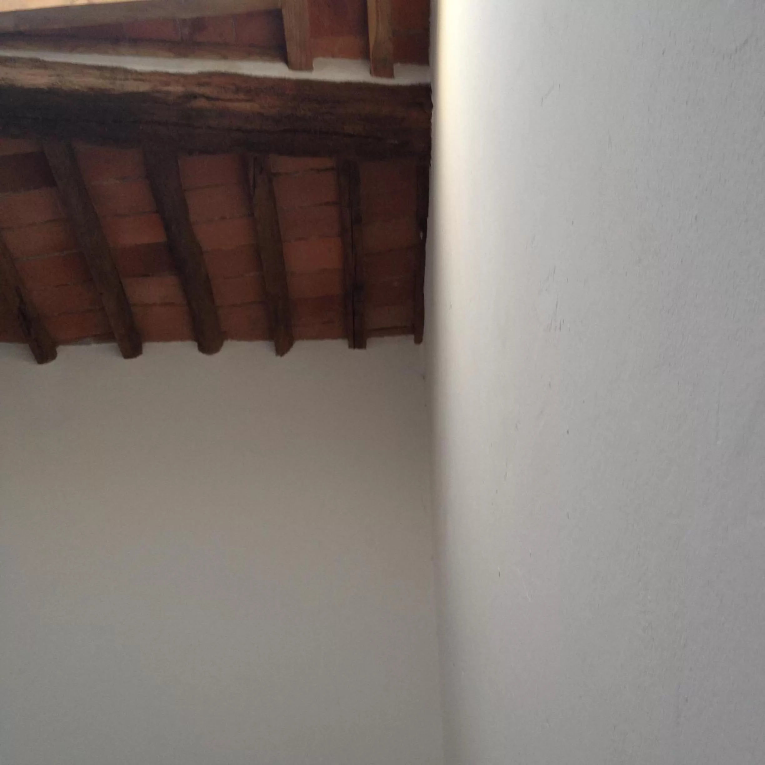 Other in B&B Il Casale di Nanni