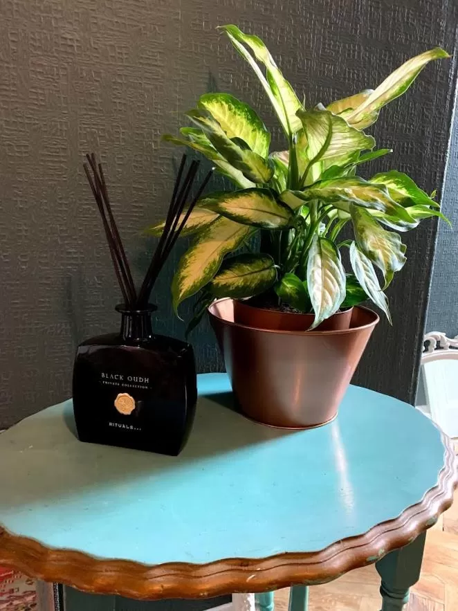 The Residence at Bolenna