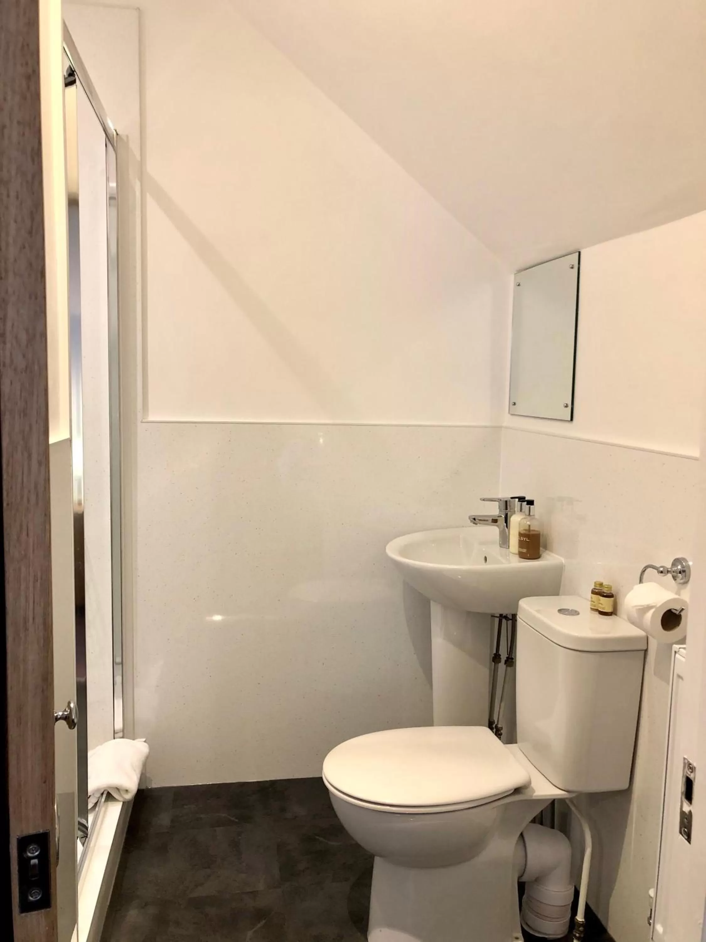 Bathroom in Penbont House