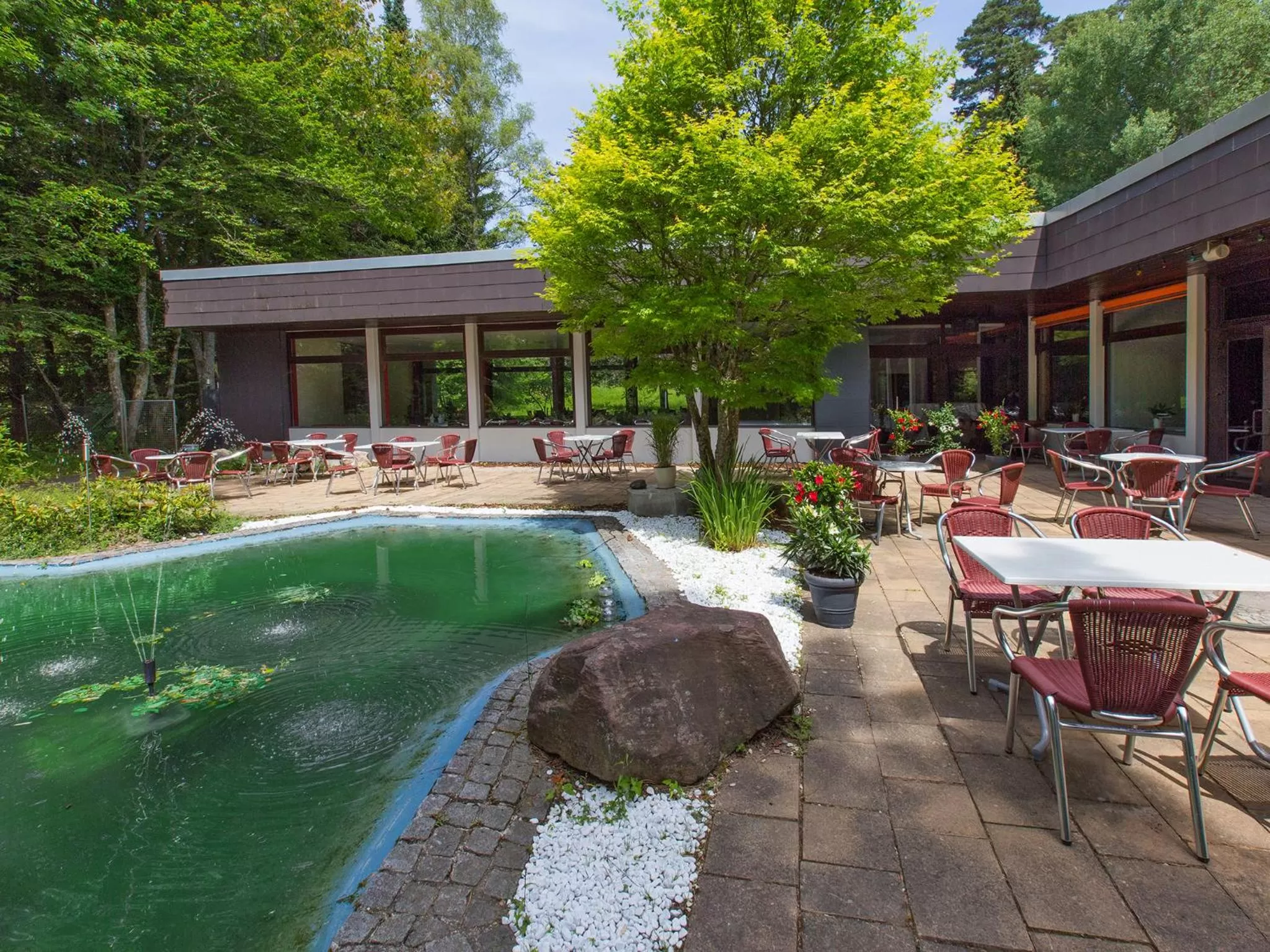 Restaurant/places to eat in DORMERO Hotel Freudenstadt