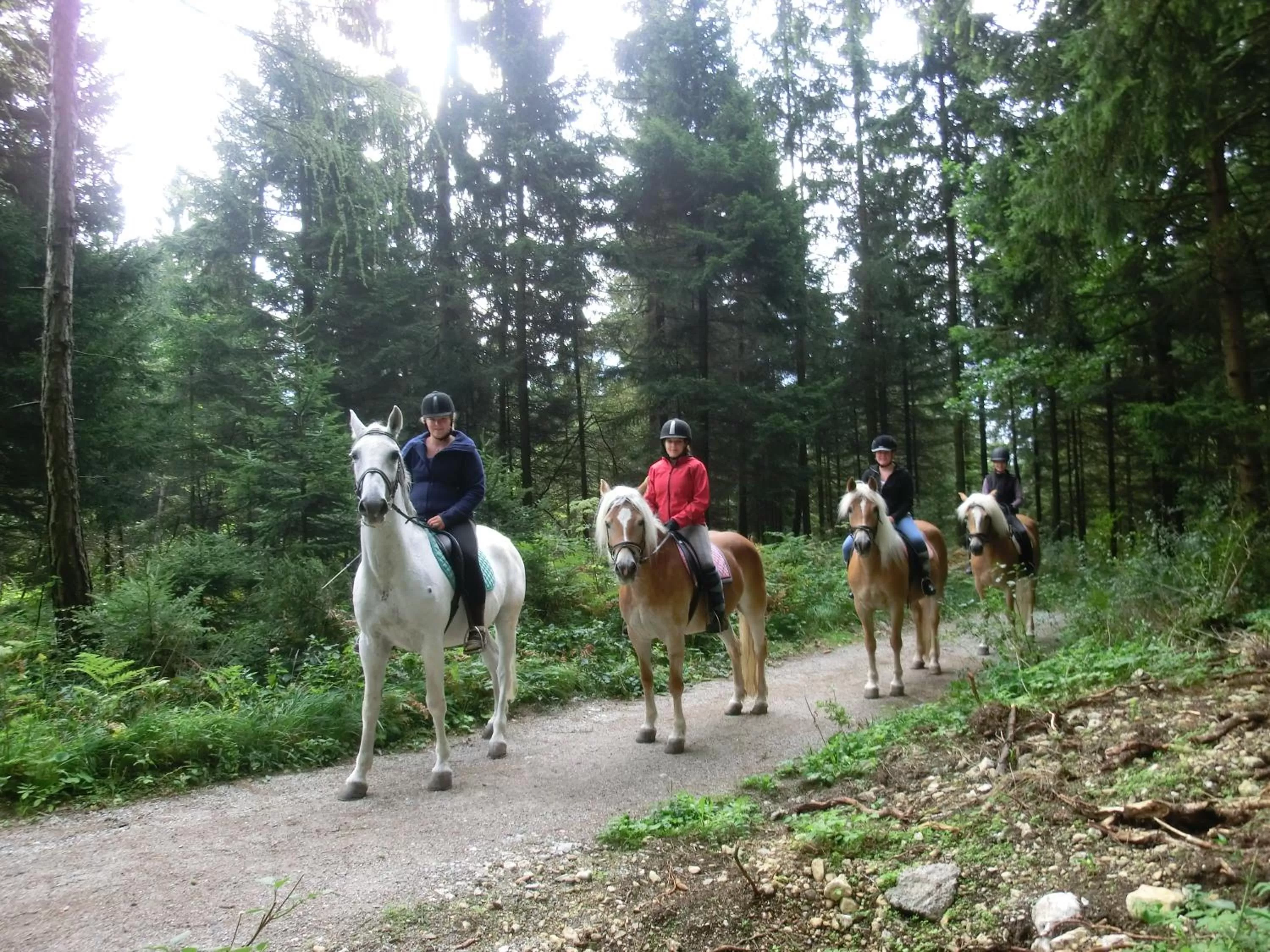 Horseback Riding in Hotel Hauserwirt