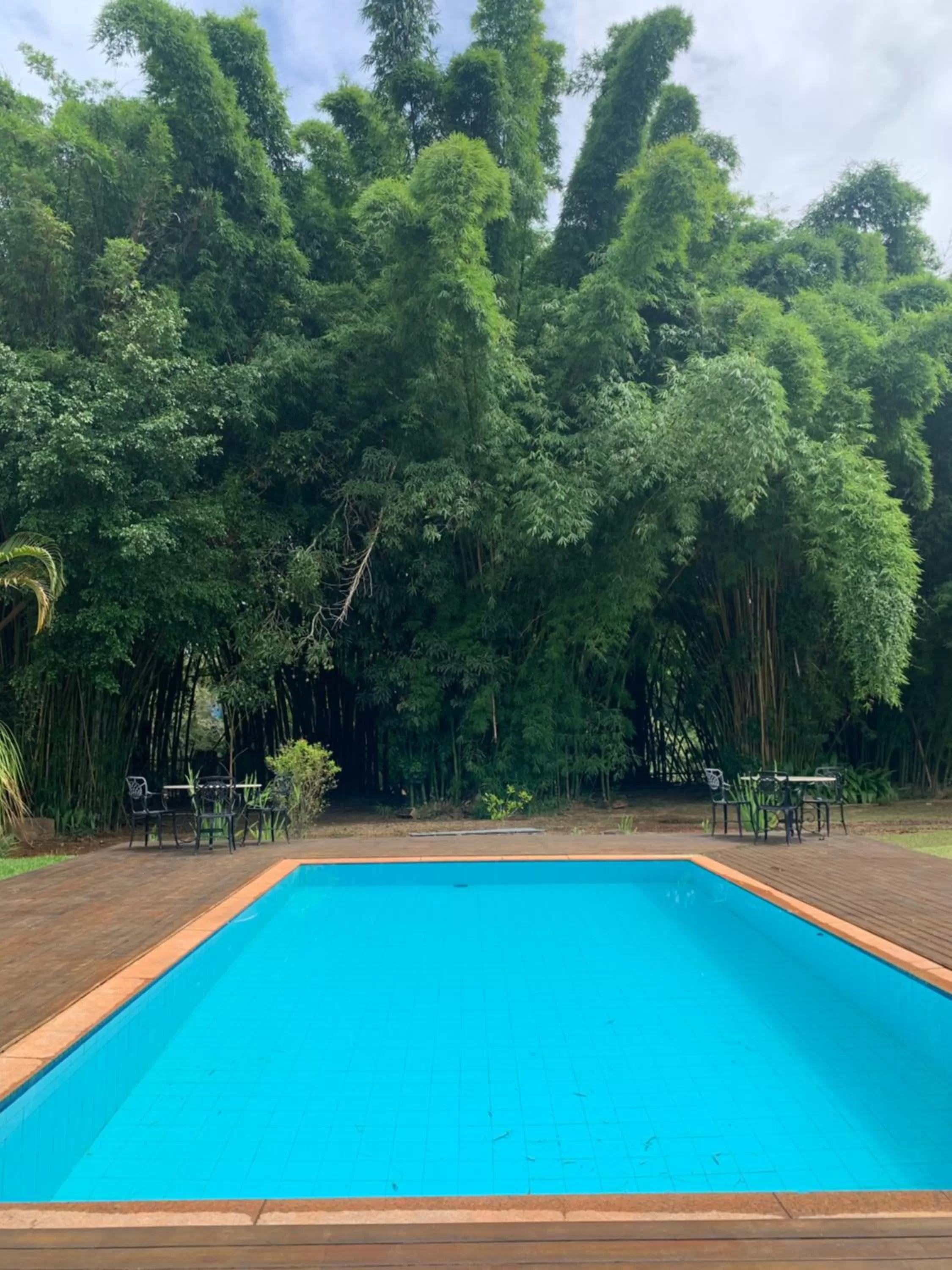 Garden, Swimming Pool in Pousada Villa Real