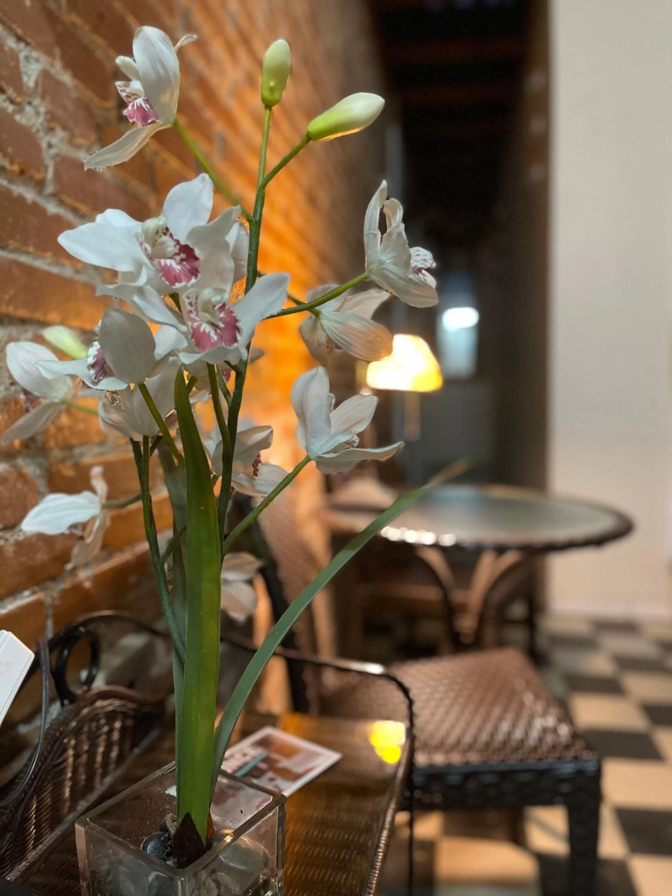 Patio in Boutique Hotel Belgica