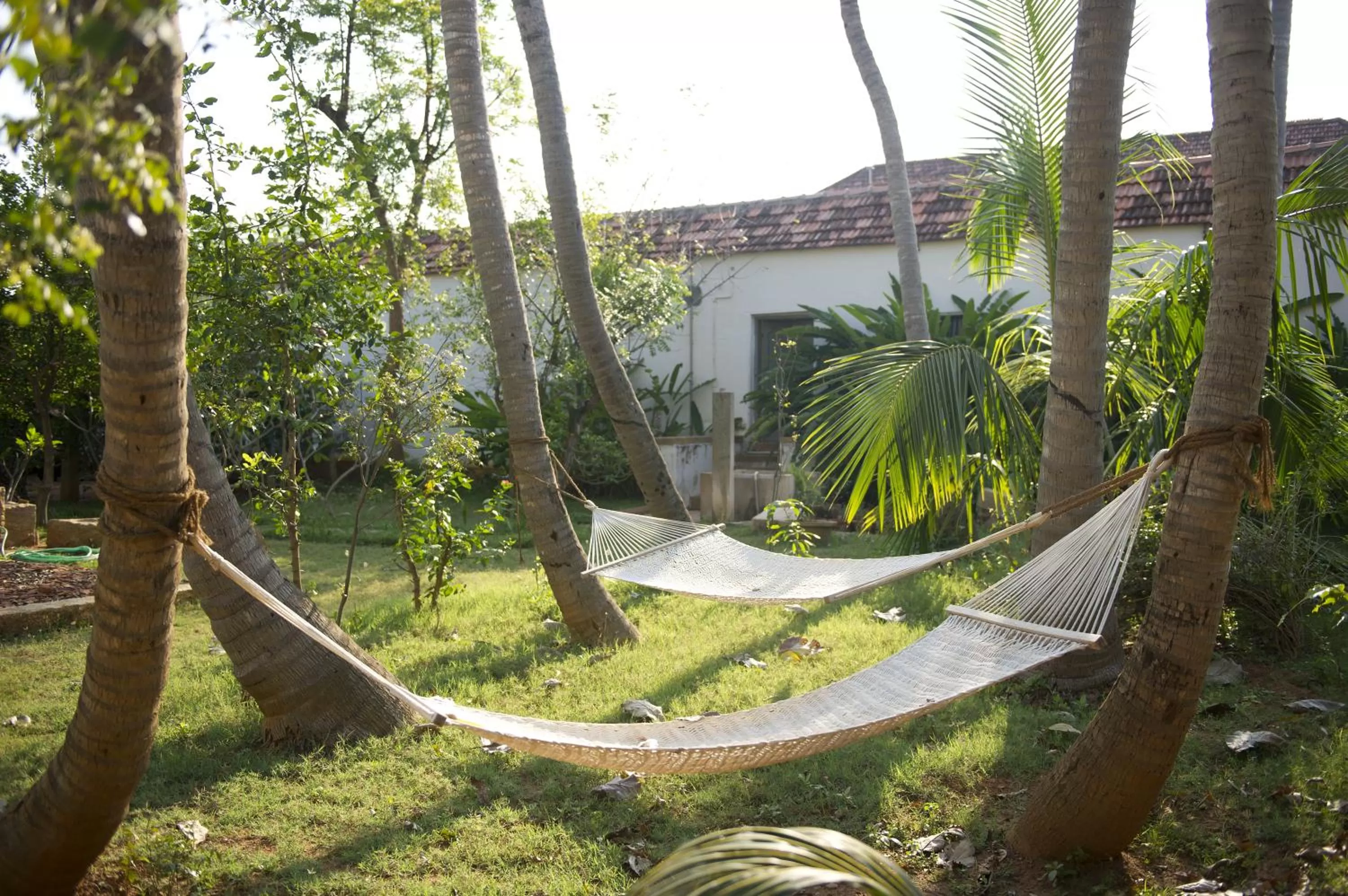 Day, Garden in Saratha Vilas Chettinad